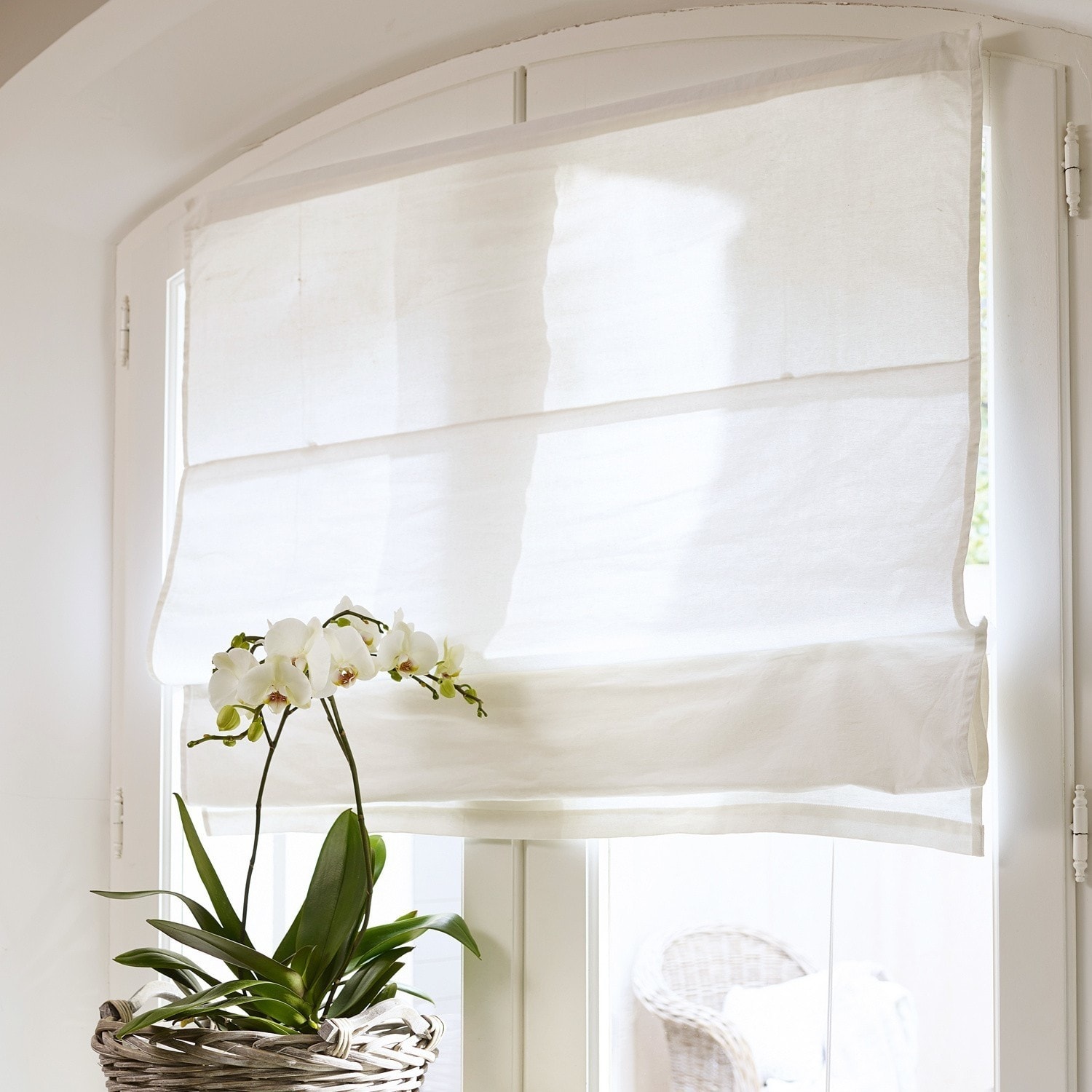 Faltrollo Fides Weisse römische Leinenvorhänge am Fenster mit weisser Orchidee im Korb
