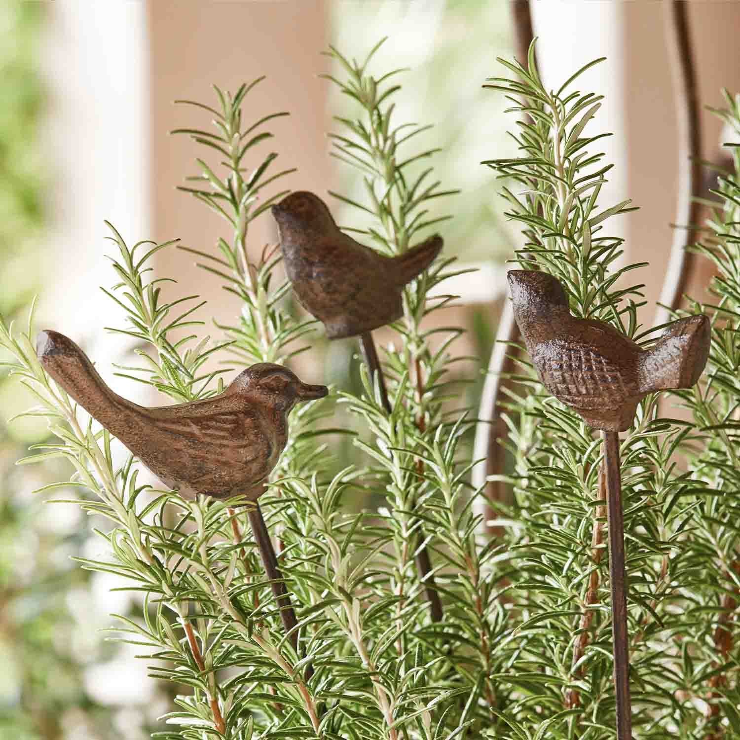 Dekorative braune Metallvögel auf Stäben zwischen grünen Rosmarinzweigen
