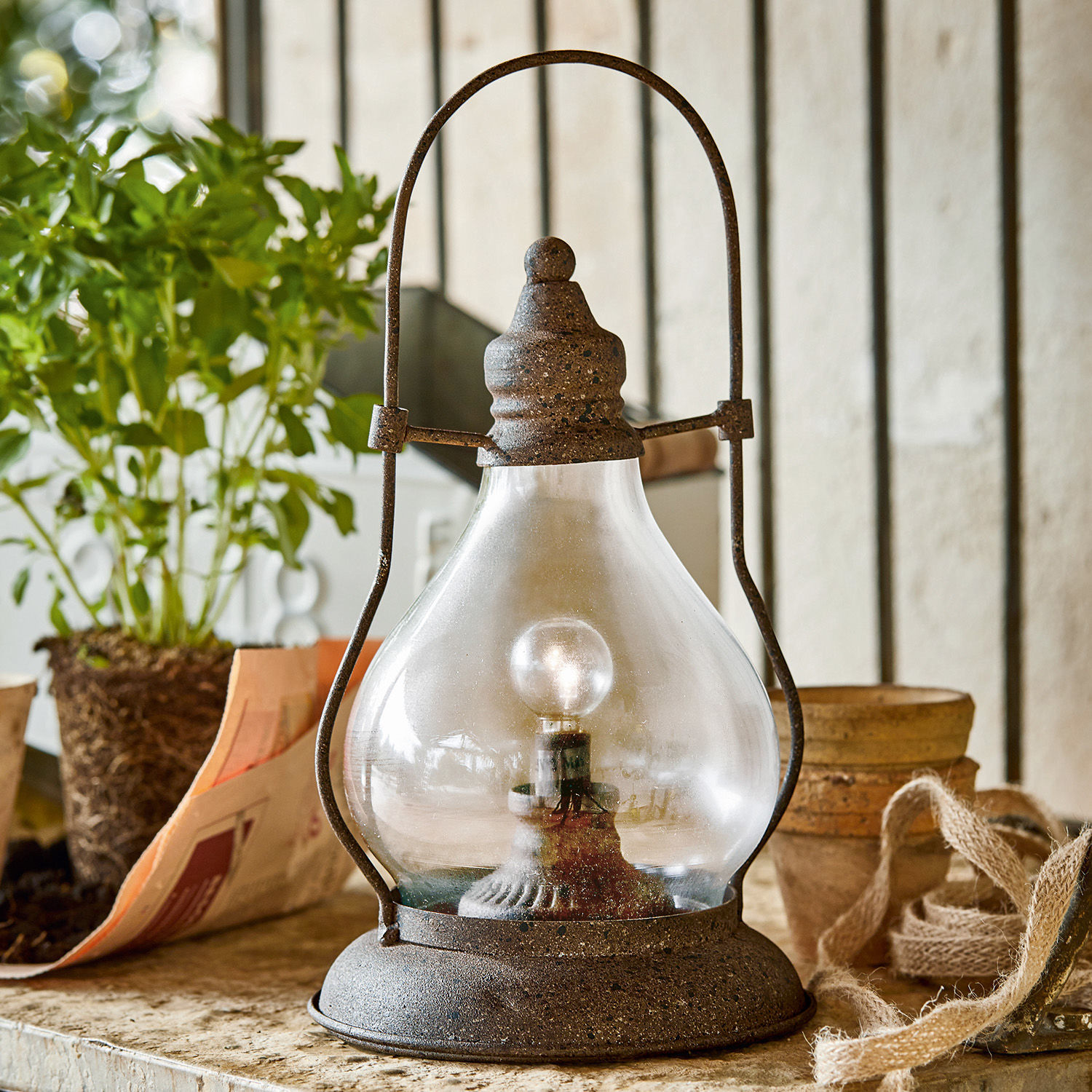 LED-Laterne Cortney Rustikale Metalllampe mit klarem Glas und Glühbirne auf dem Tisch neben Pflanze und Töpfen