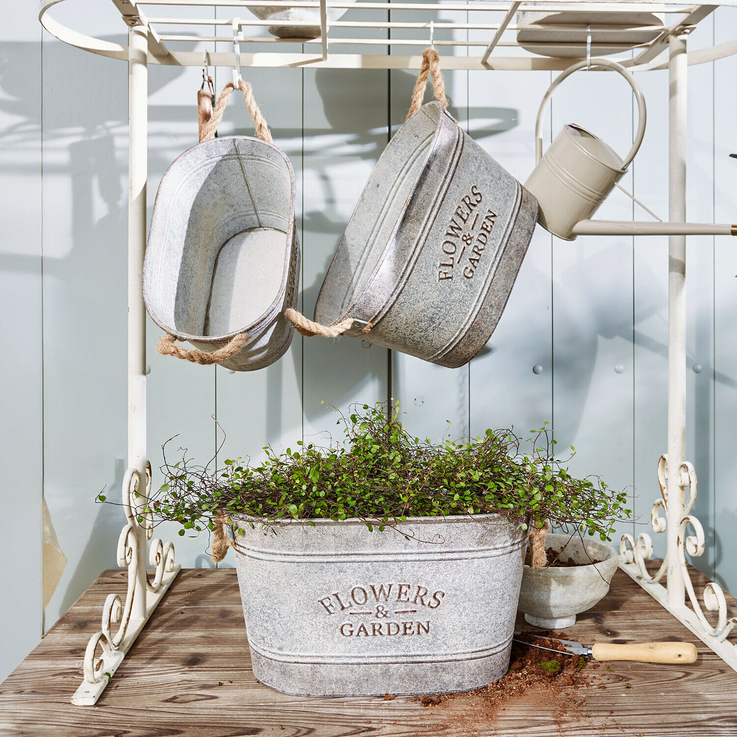 Übertopf 3er Set Merrin Graue Metallpflanzgefäße mit Schriftzug Flowers & Garden, grüne Pflanze und Gartengerät auf Holztisch