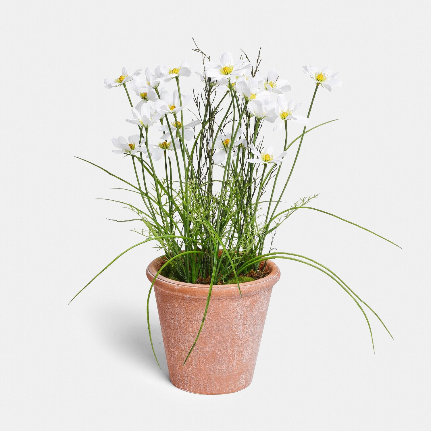 Deko-Topfpflanze Harmoise Weisse Blüten in Terrakottatopf mit grünen Blättern, Dekoration für Innenräume und Garten