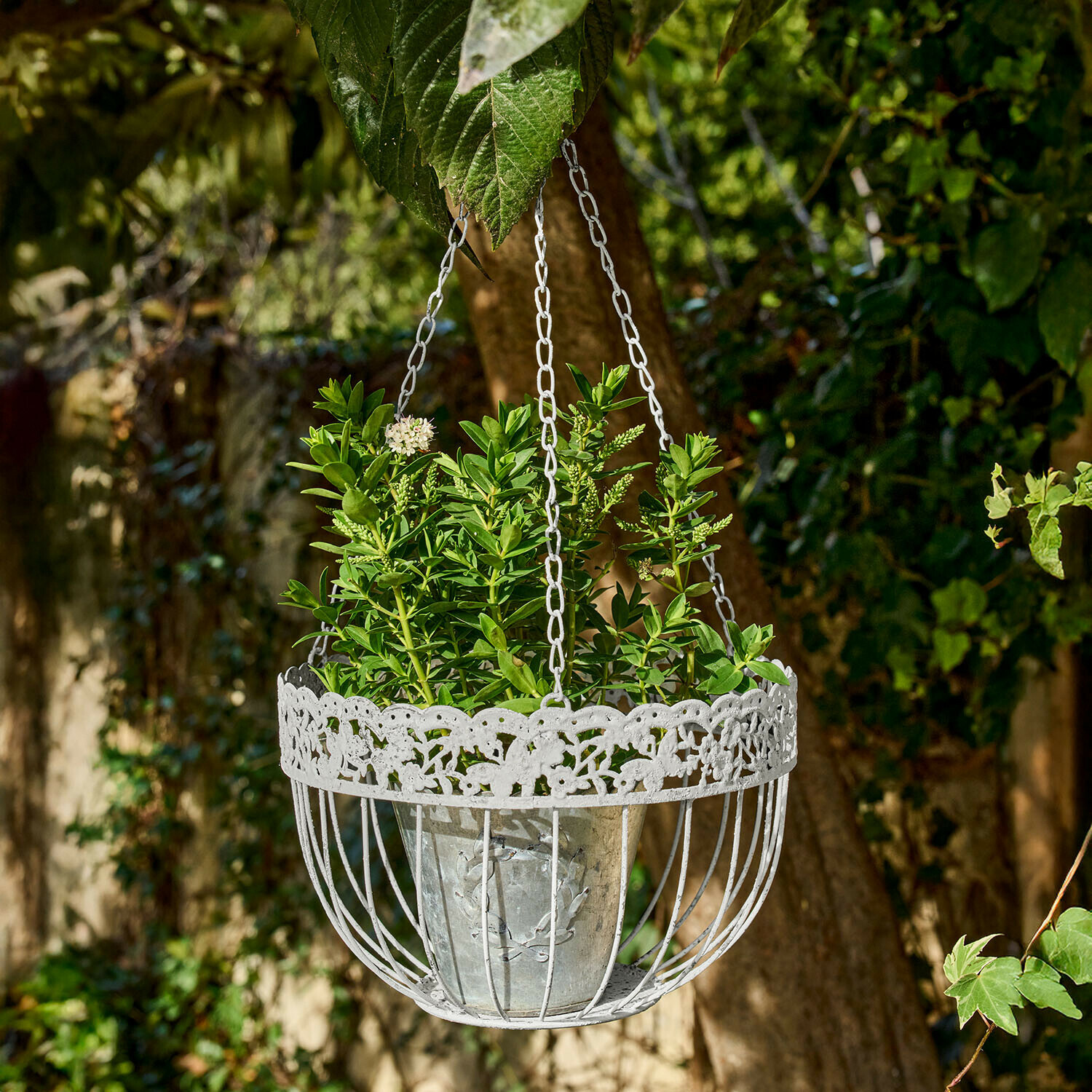 Hängekorb 2er Set Iveralia