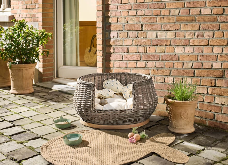 Korbträume in Rattan 