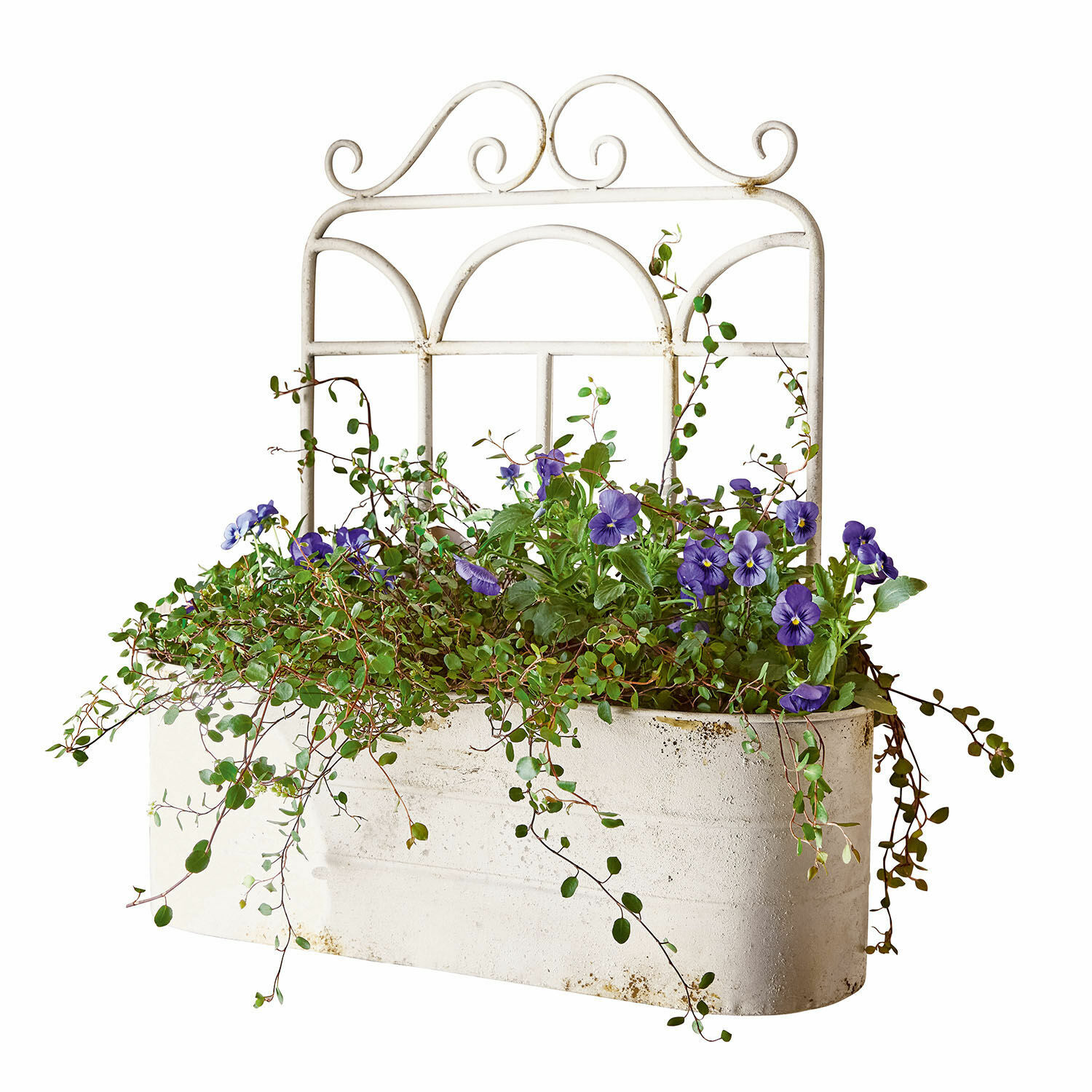 Pflanzkorb Marwin Weisser Metall-Blumenkasten mit violetten Blumen und grünem Laub für Gartendekoration