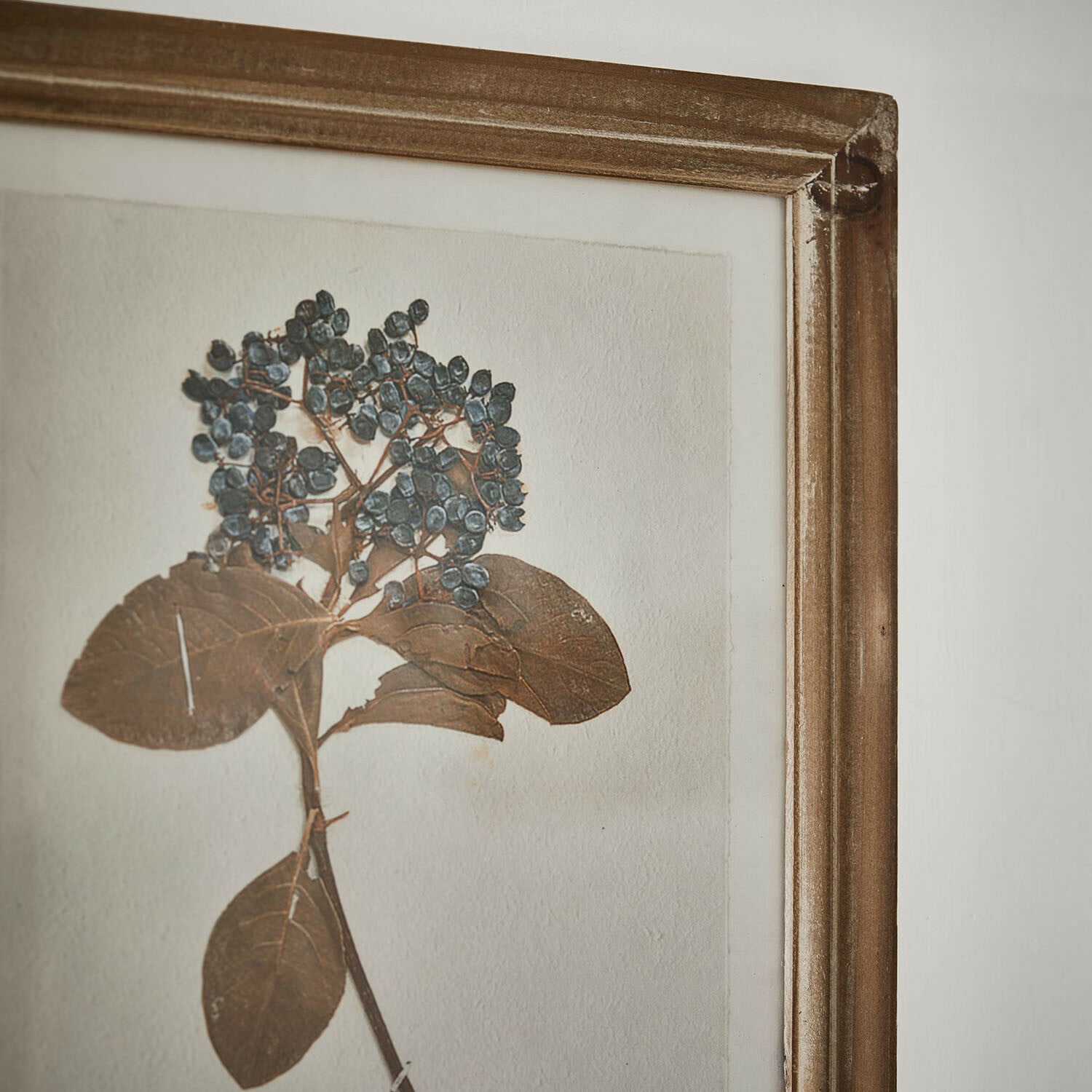 Bild 2er Set Tanneau