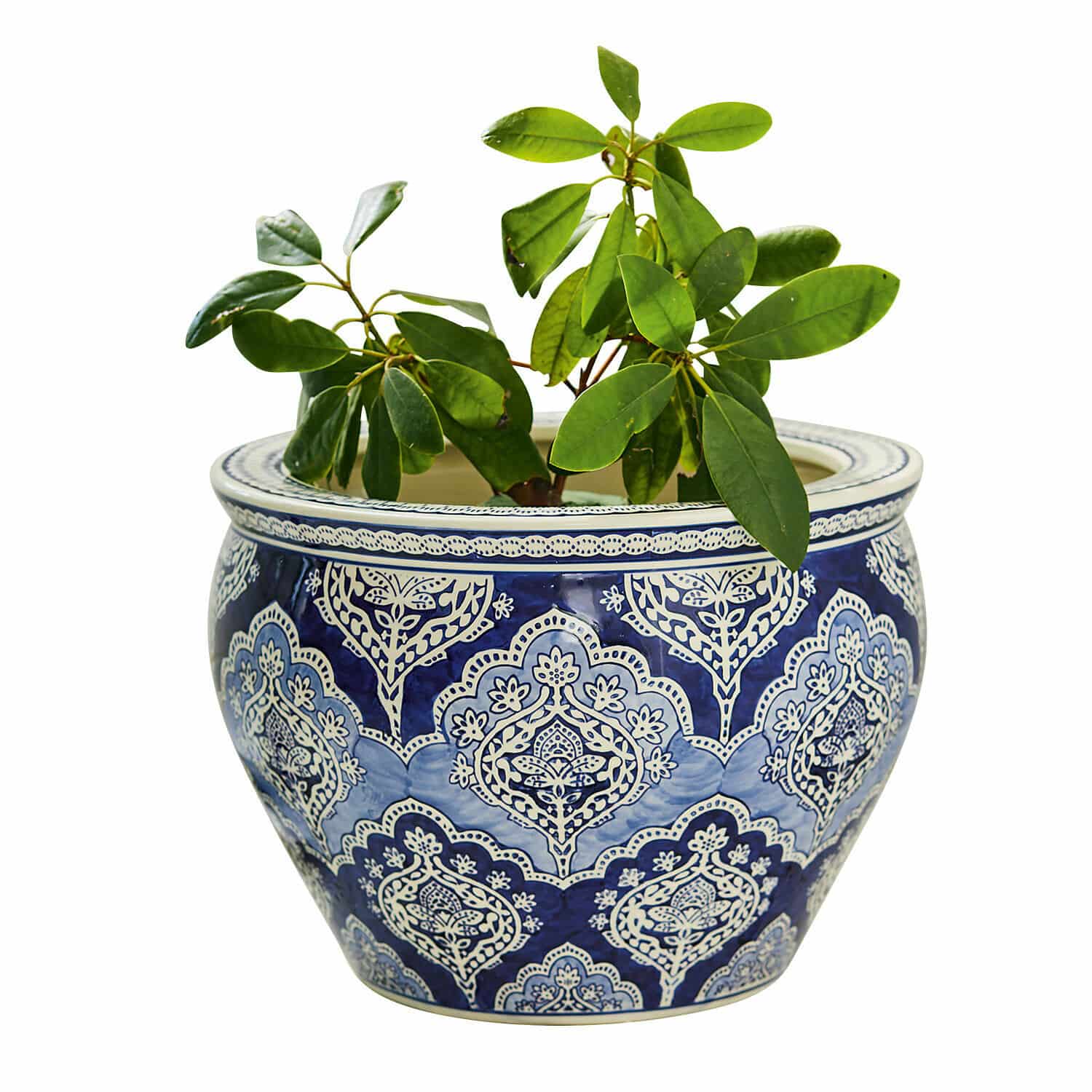 Übertopf Aurélie Keramiktopf in Blau-Weiss mit grüner Pflanze, dekorativer Übertopf für Innen und Garten