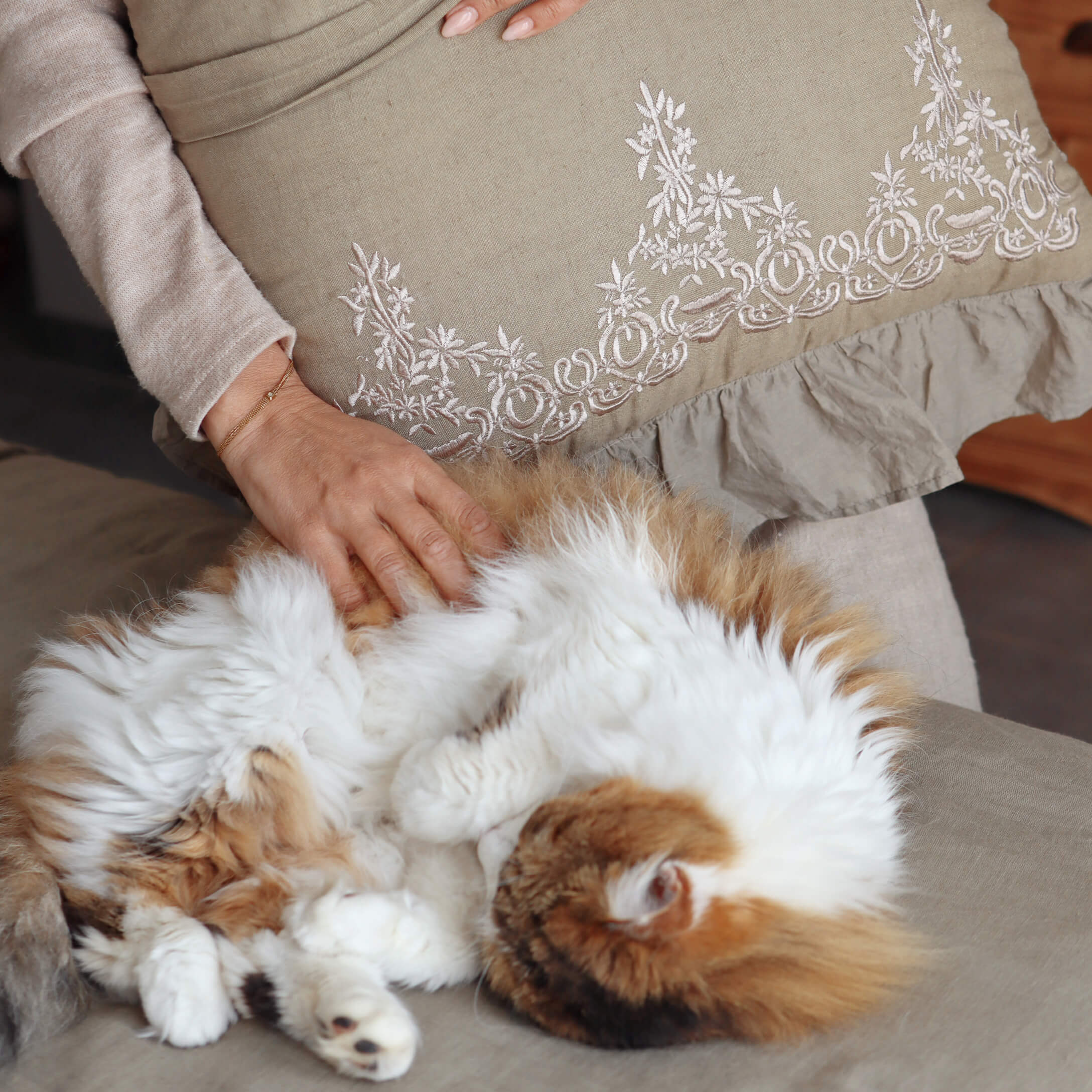Hand streichelt flauschige weiss-rote Katze auf beigem Sofa mit besticktem Kissen