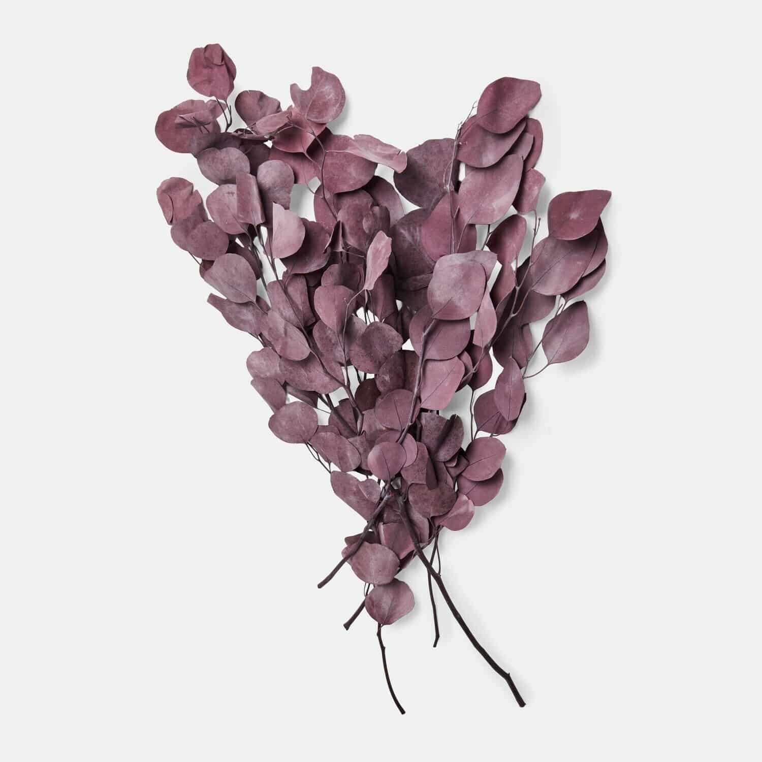 Kunstblume Eukalyptus Ianthee