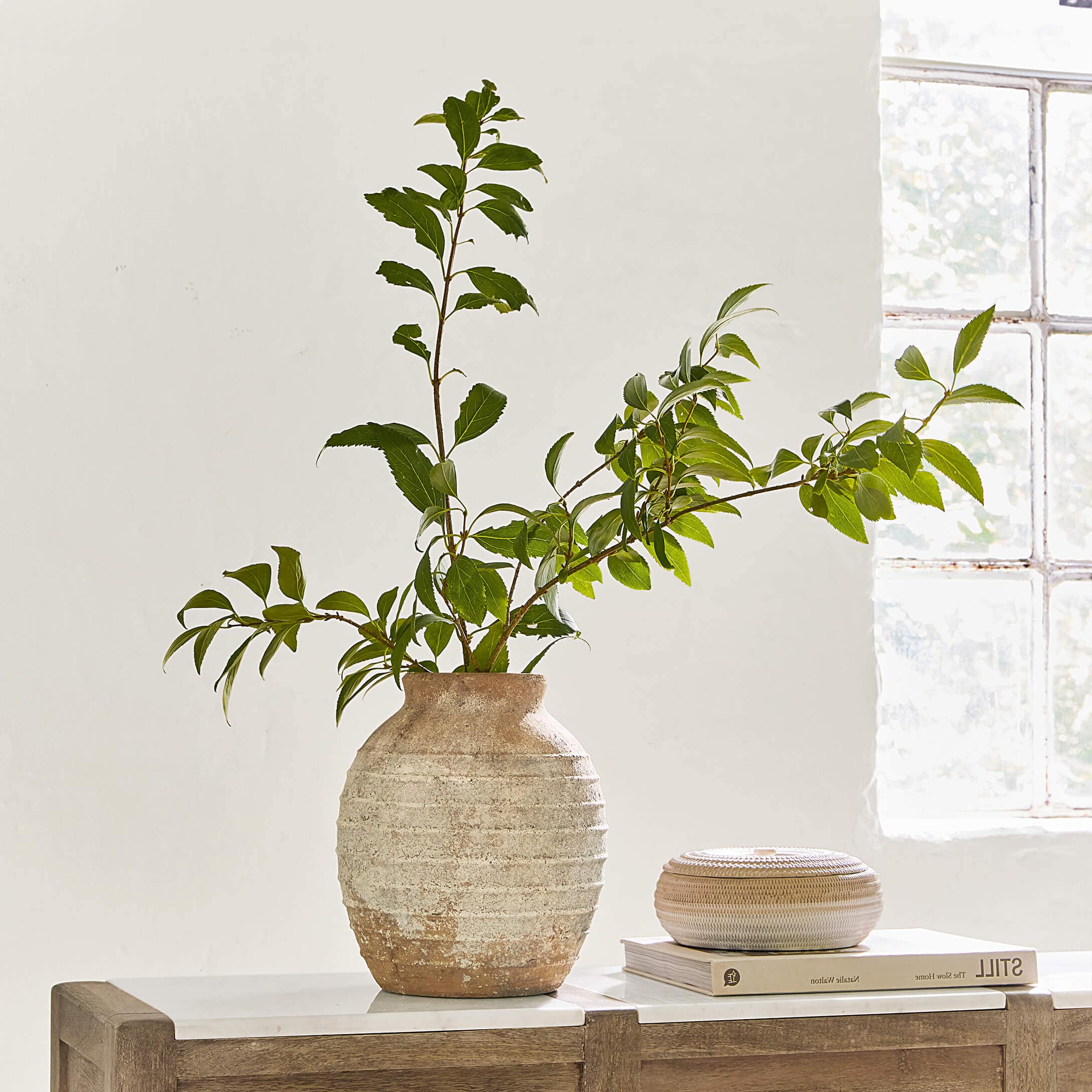 Rustikaler beiger Keramikvase mit grünen Blättern auf Holzkommode mit Marmorplatte