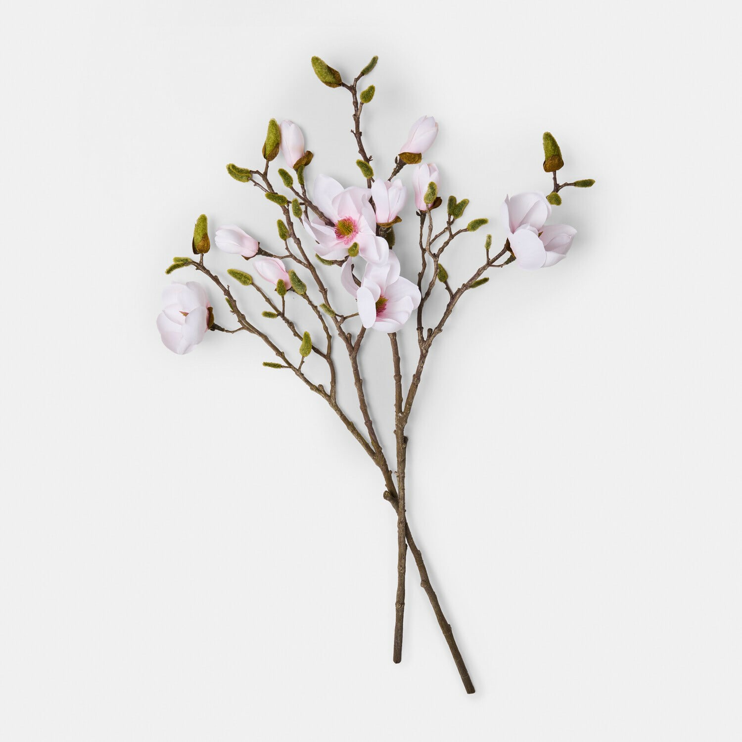 Dekorative Zweige mit hellrosa Blüten und grünen Knospen an braunen Stielen