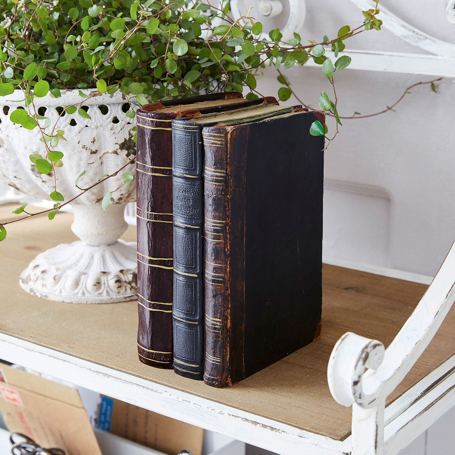 Deko-Buch Boaz Drei alte Bücher aus dunklem Leder auf einem Holztisch neben einem weissen Topf mit grüner Pflanze