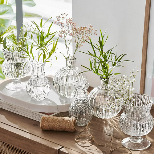 Set aus transparenten Glasvasen mit Pflanzen auf Holzplatte, stilvolle Wohnraumdekoration