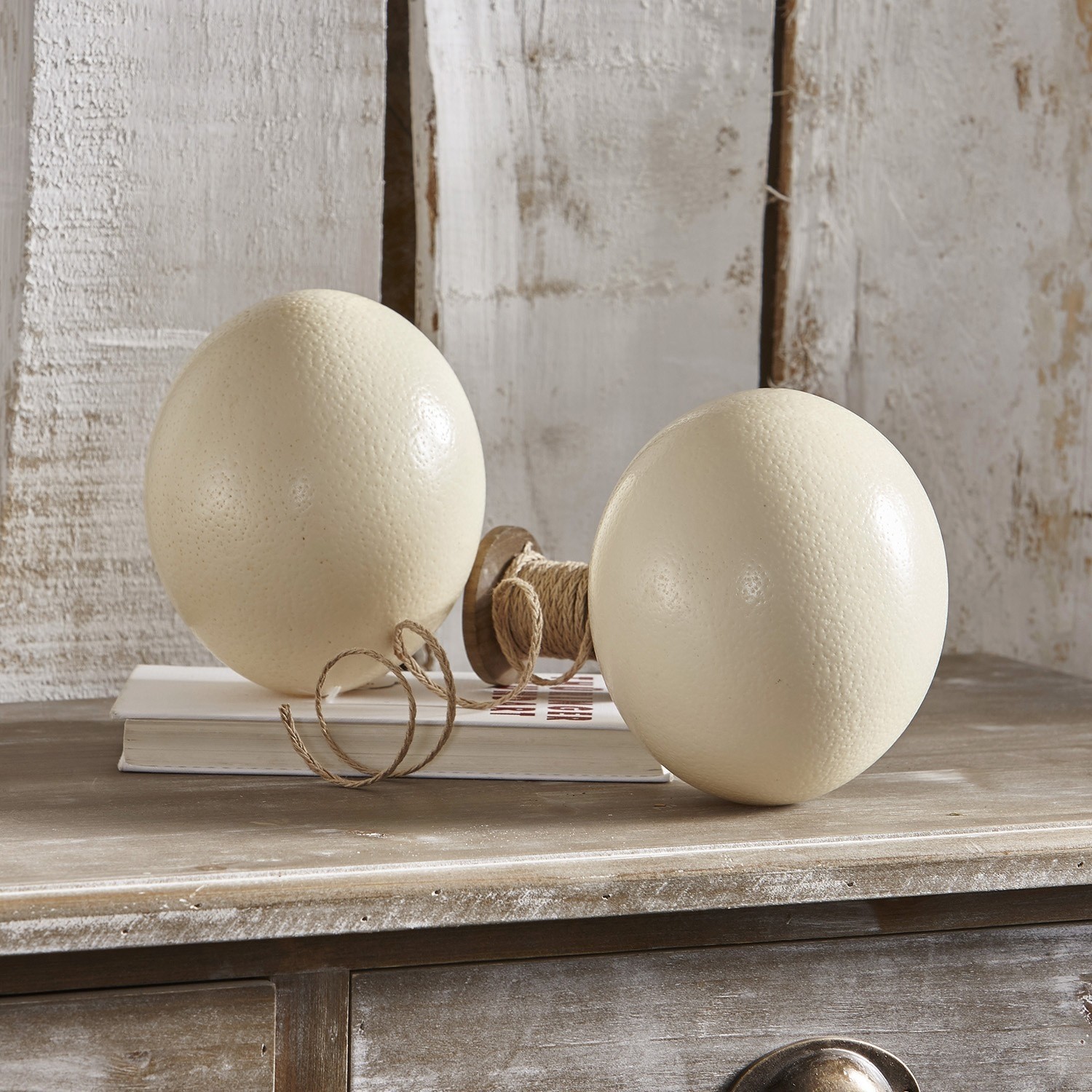 Straussenei 2er Set Égon