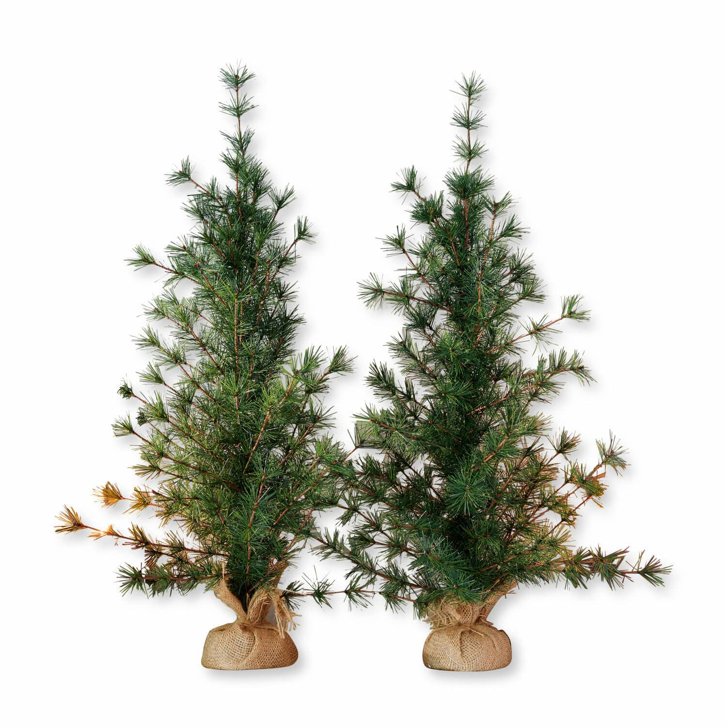 Deko-Baum 2er Set Bohicon Zwei künstliche grüne Kiefern mit Jutebezug an der Basis, natürliche Weihnachtsdekoration