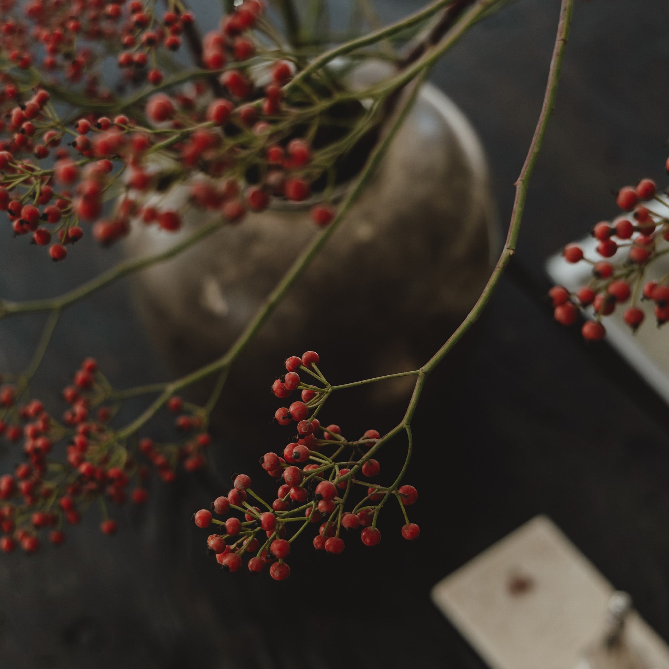 Zweige mit roten Beeren vor matter grauer Vase auf dunklem Dekotisch