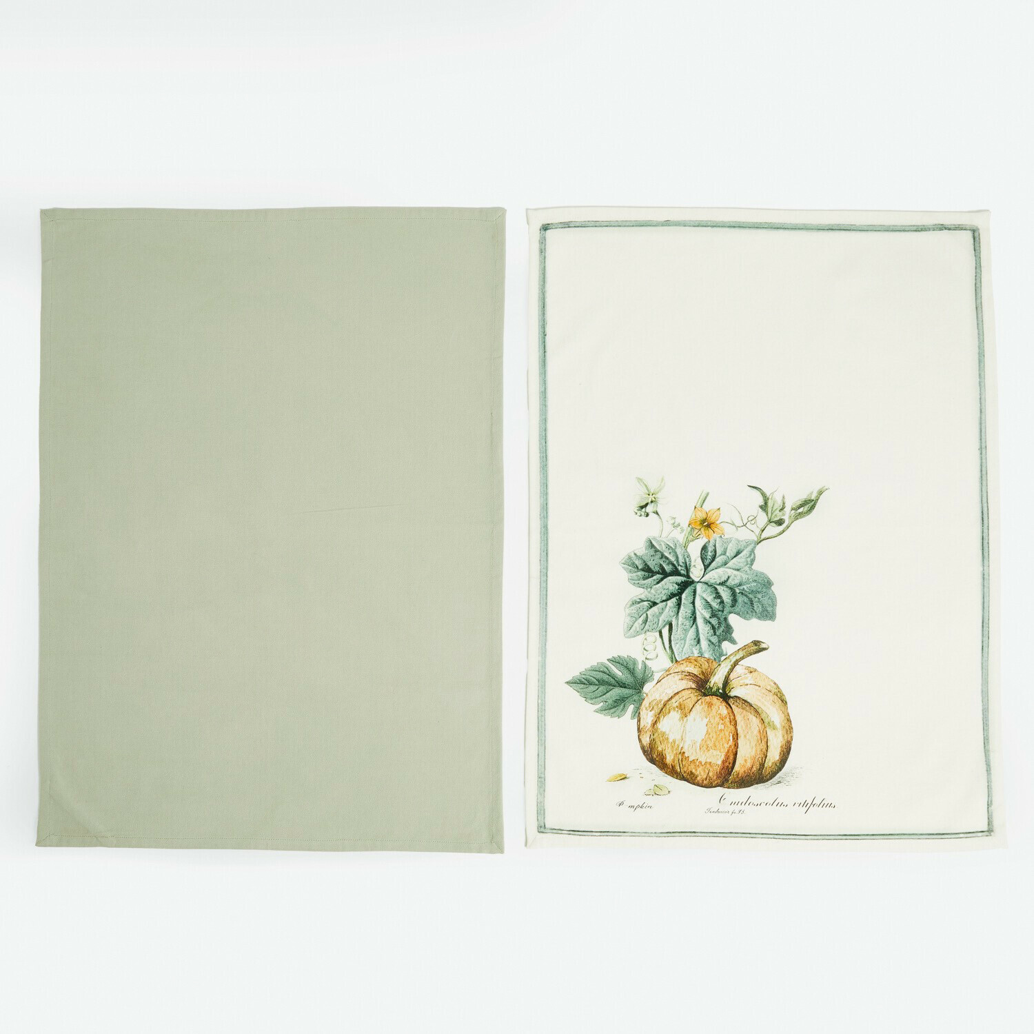 Geschirrtuch 2er Set Pavolinos Set mit zwei Baumwoll-Geschirrtüchern in Grün und Creme mit Kürbis-Motiv für die Küche
