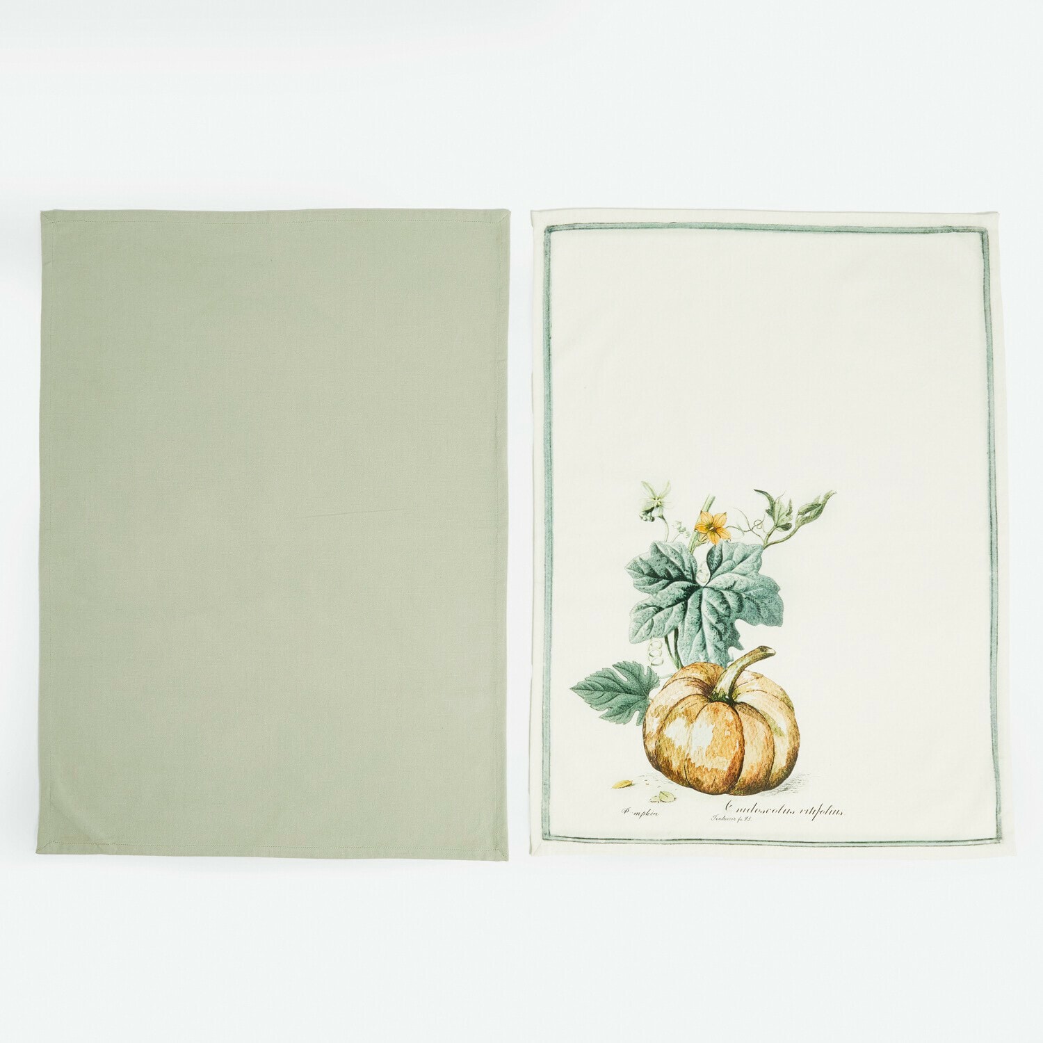 Geschirrtuch 2er Set Pavolinos Set mit zwei Baumwoll-Geschirrtüchern in Grün und Creme mit Kürbis-Motiv für die Küche