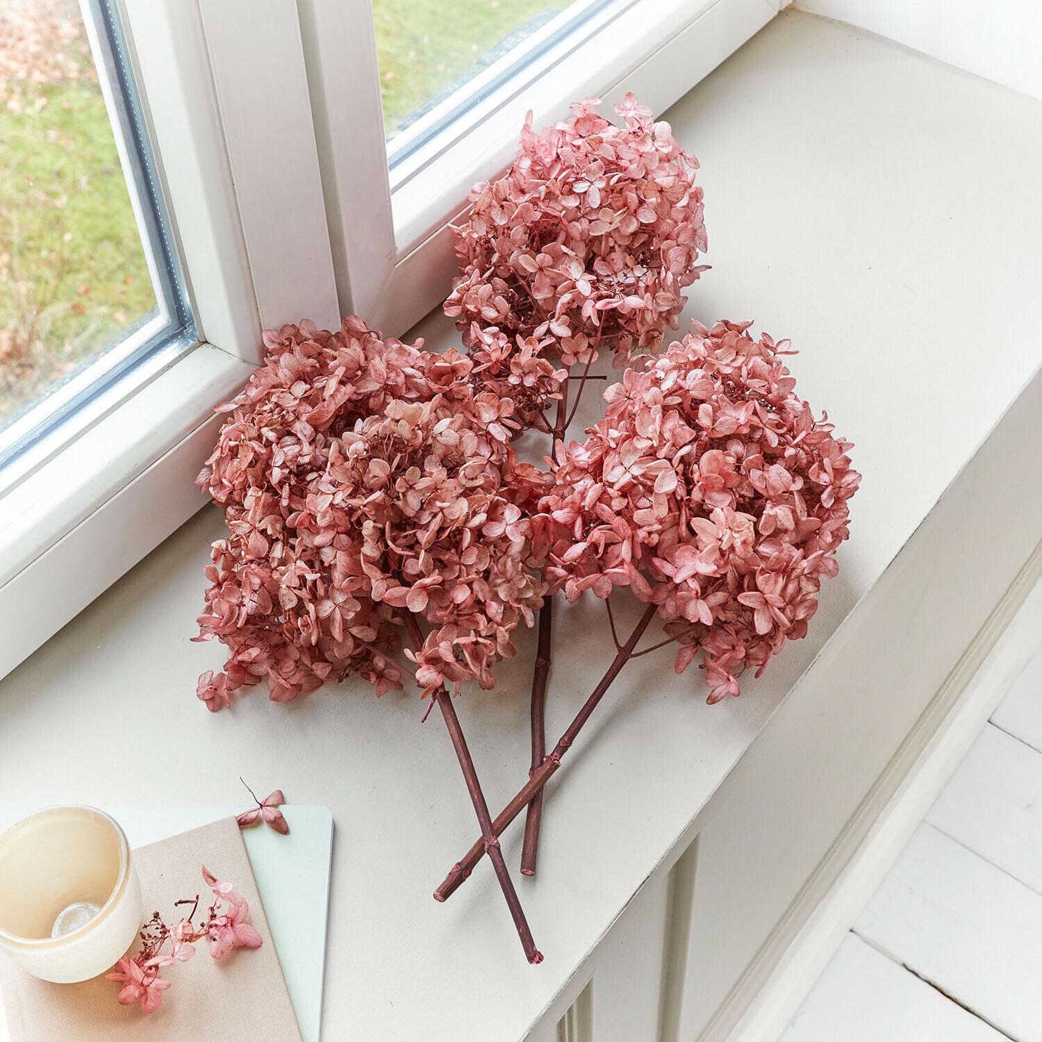 Trockenblume 3er Set Amélorie Getrocknete rosa Hortensienblüten auf weissem Fensterbrett als Wohnaccessoire