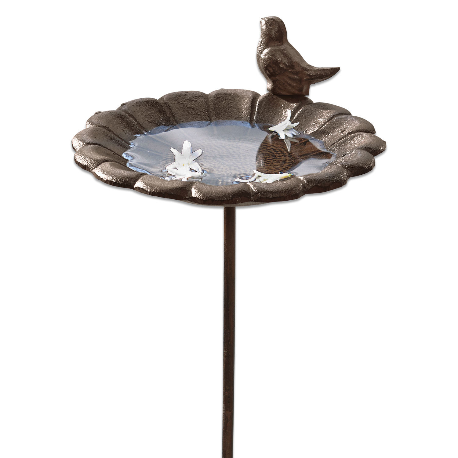 Vogeltränke Finch Dekorativer brauner Vogeltränke aus Metall mit Vogelmotiv und Wasserschale für den Garten