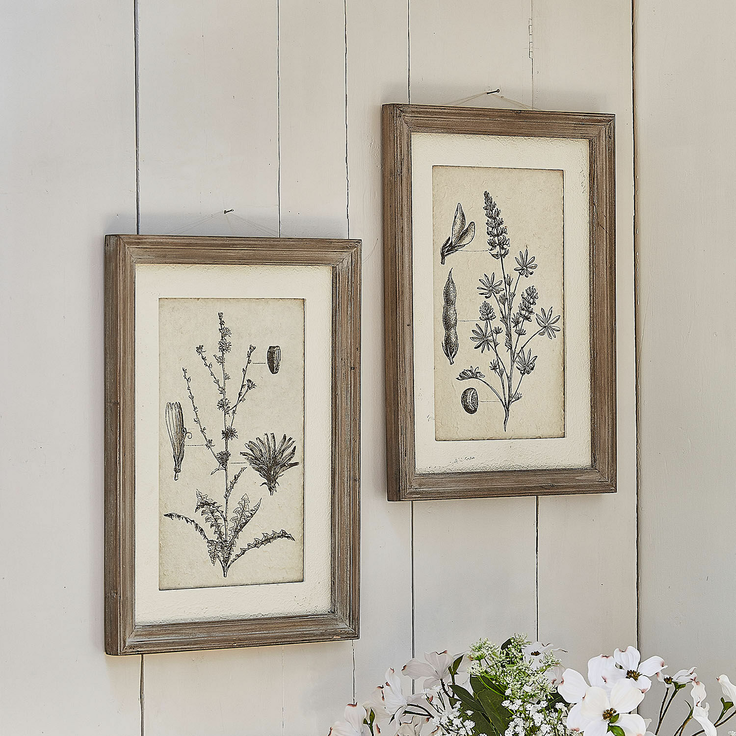 Bild 2er Set Stanbury Zwei rustikale Holzrahmen mit schwarz-weissen botanischen Zeichnungen an der Wand, Wanddekoration