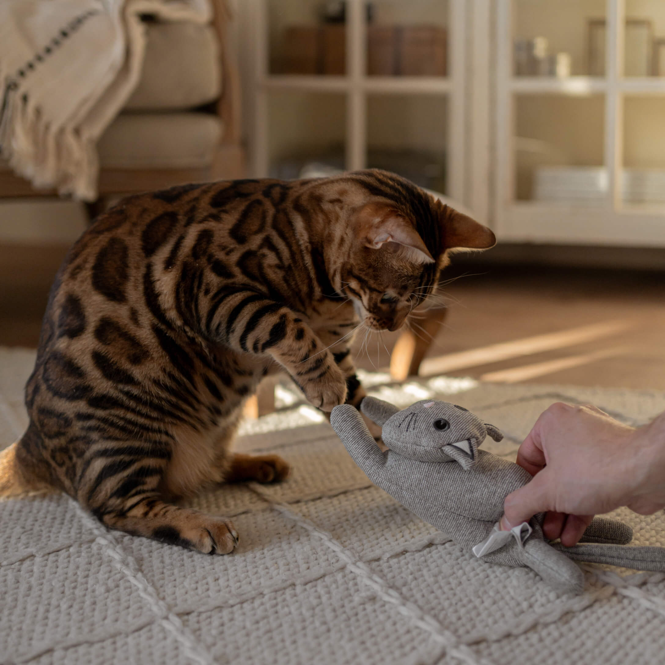 Braune Bengalkatze spielt mit grauem Stofftier auf hellem Teppich im Wohnzimmer