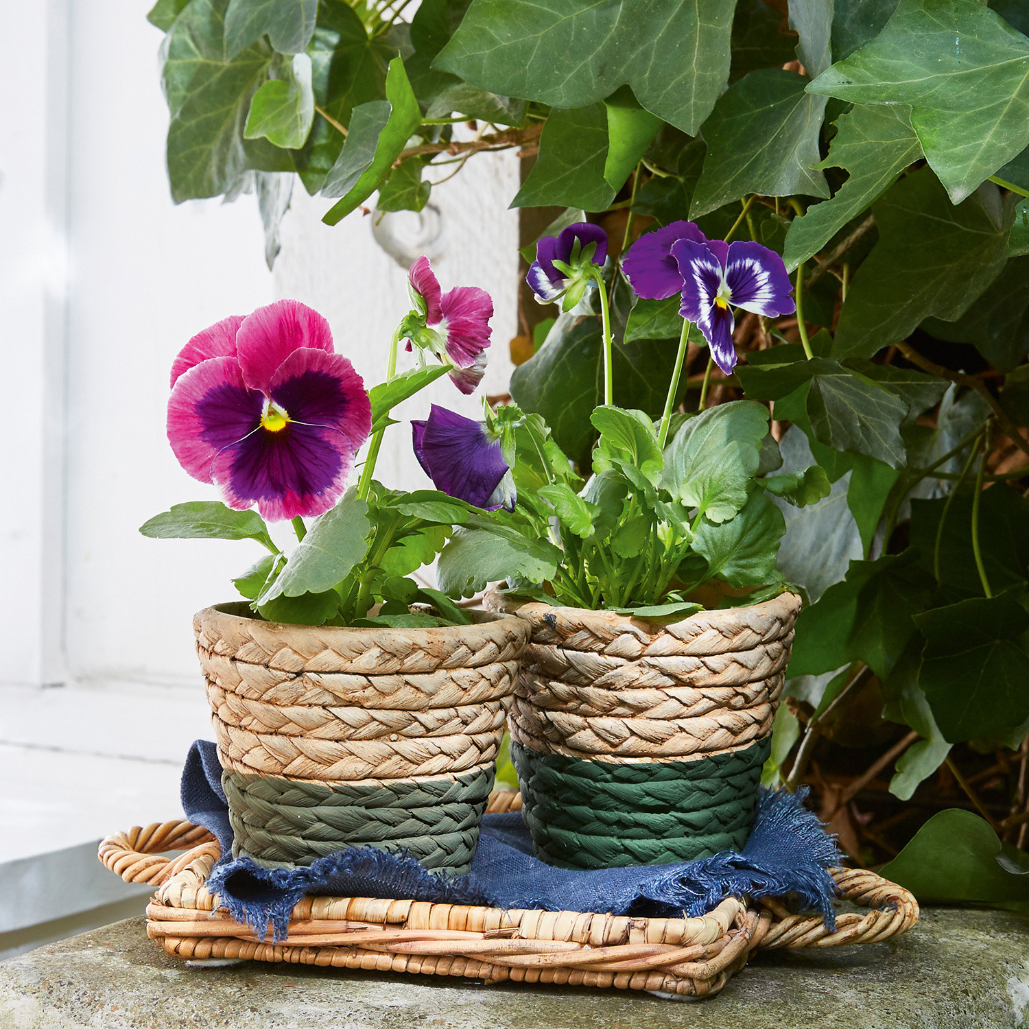 Übertopf 2er Set Manoel