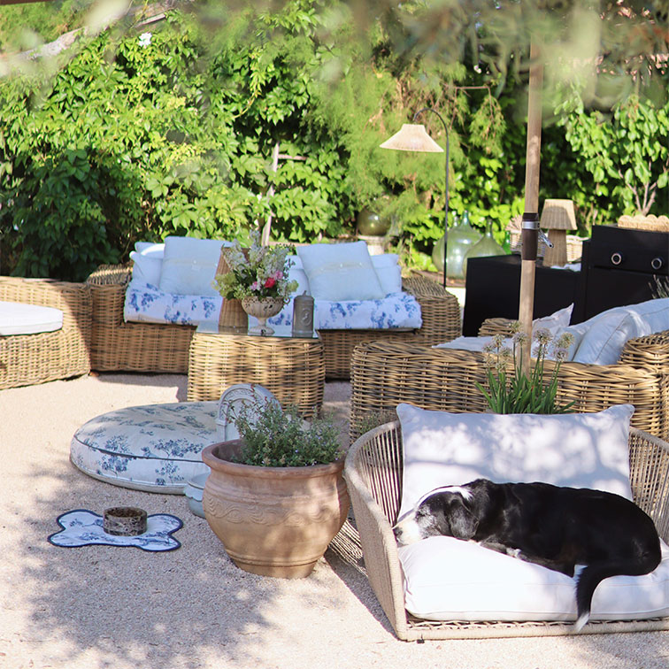 Gartenmöbel aus natürlichem Rattan mit blauen Blumenkissen, schwarzer Hund liegt auf weissem Sessel