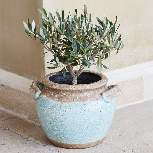 Keramiktopf in Hellblau und Beige mit Pflanze, dekoratives Garten- und Wohnaccessoire