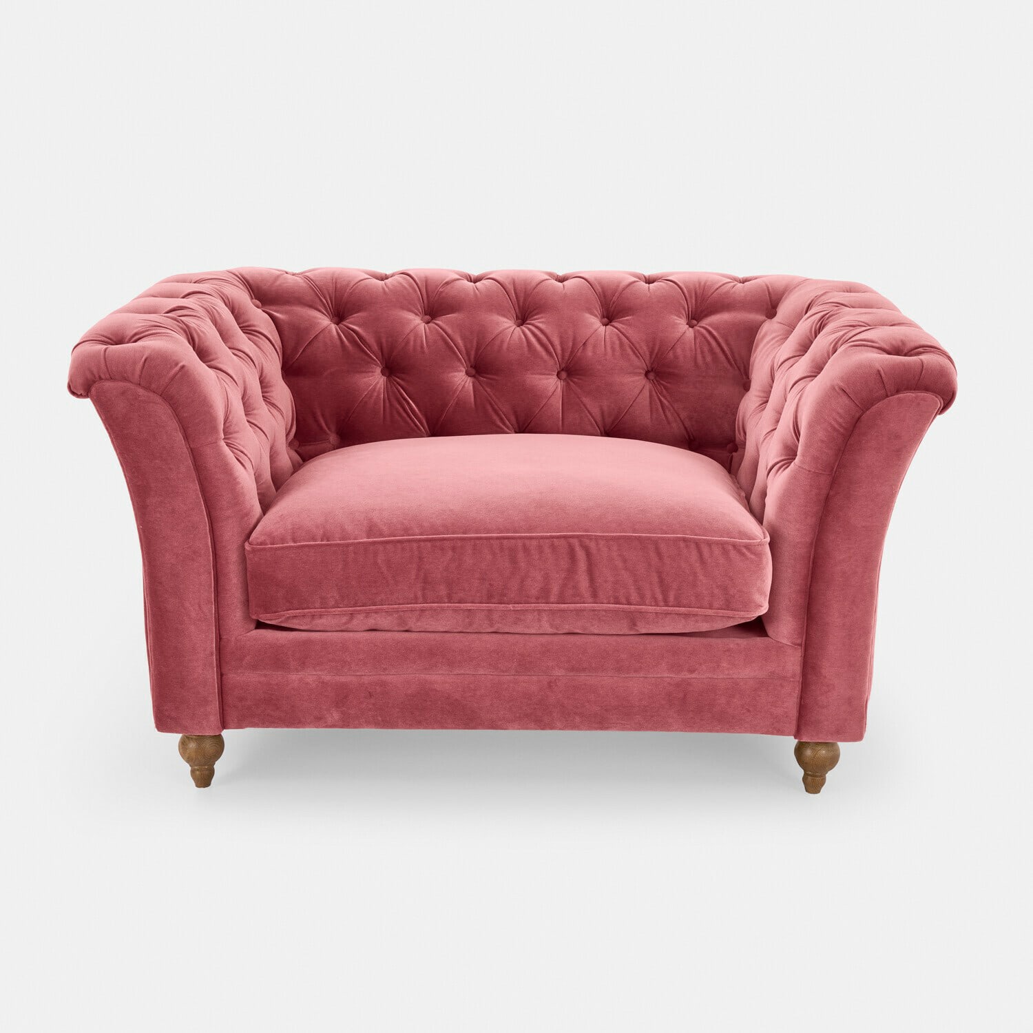 rosa rosa