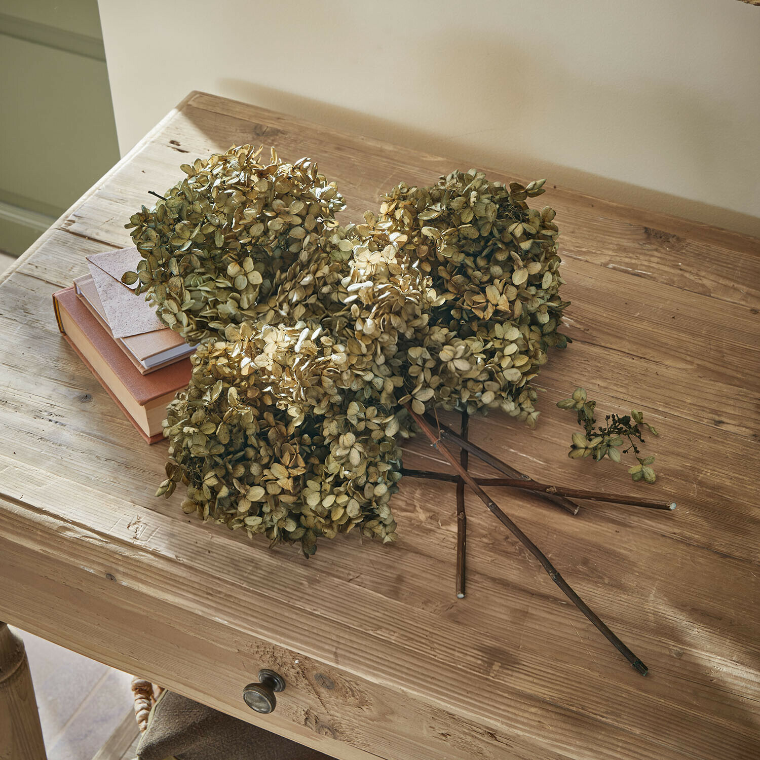 Trockenblume 4er Set Brissonne