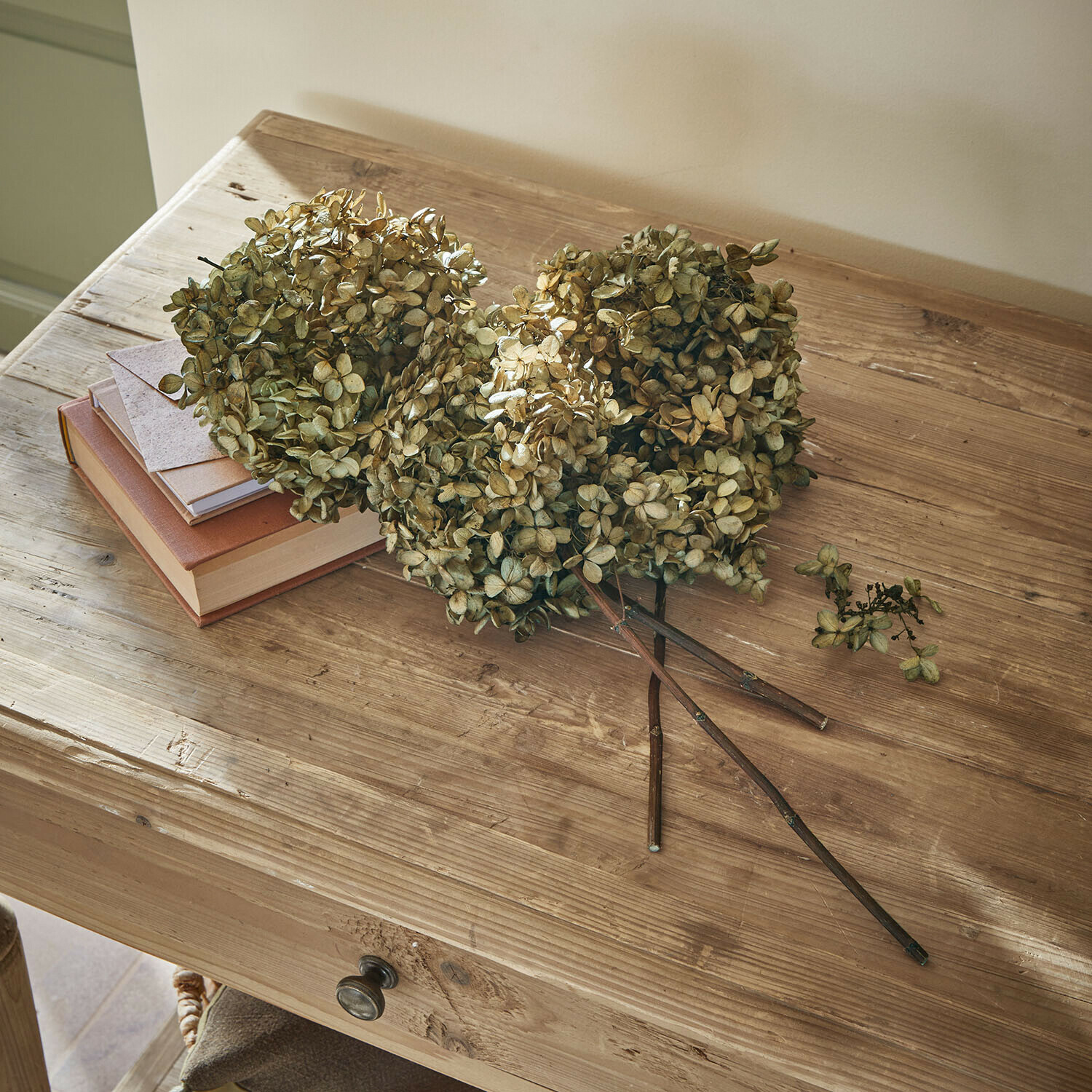 Trockenblume 3er Set Brissonne
