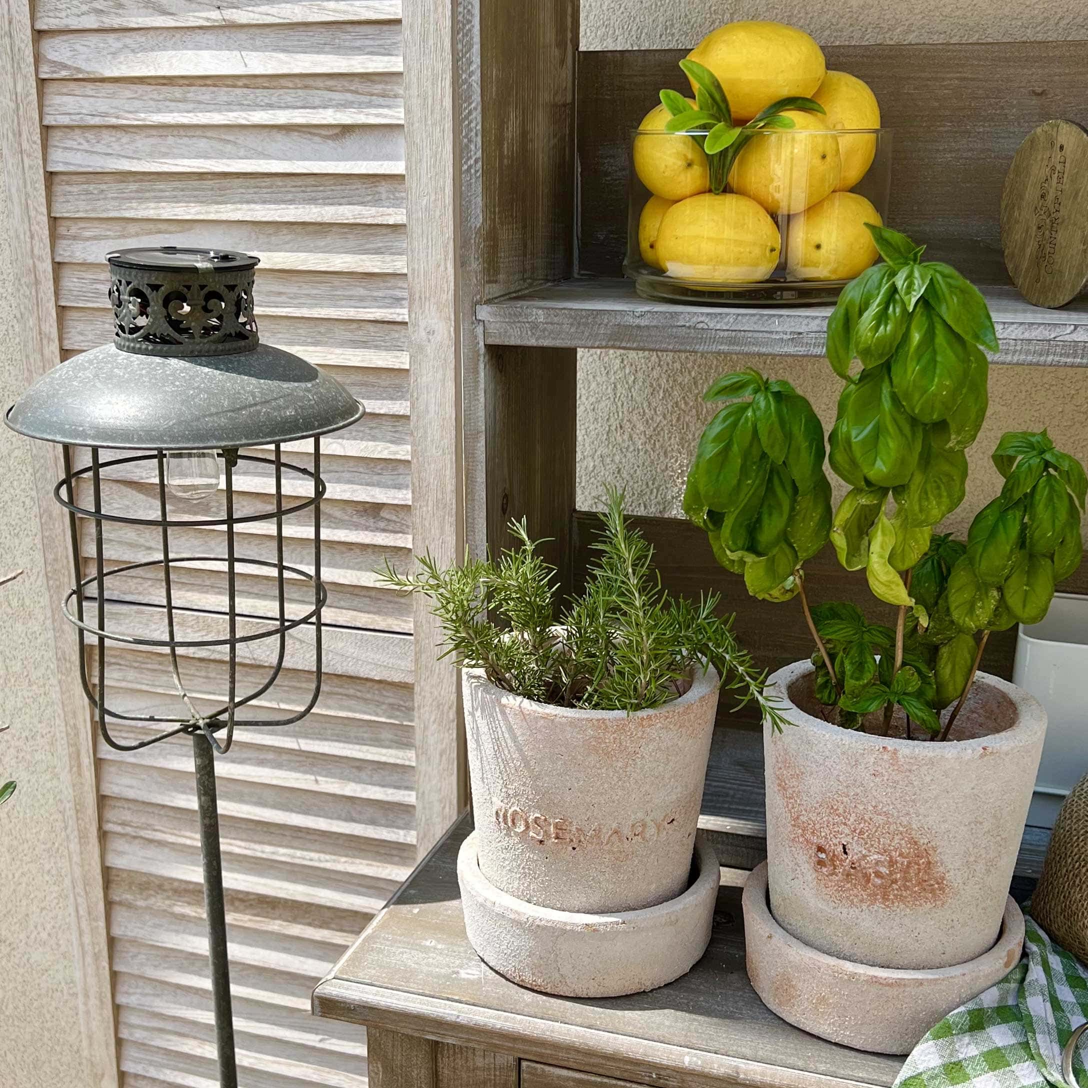 Terrakottatöpfe mit Rosmarin und Basilikum auf einem Holztisch neben einer Gartenlampe