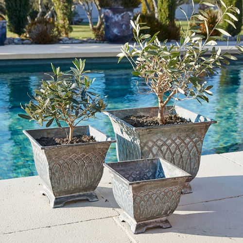 Drei graue Metallpflanzgefässe im Vintage-Stil beim Pool, ideal für Gartenpflanzen und Aussen-Dekoration.