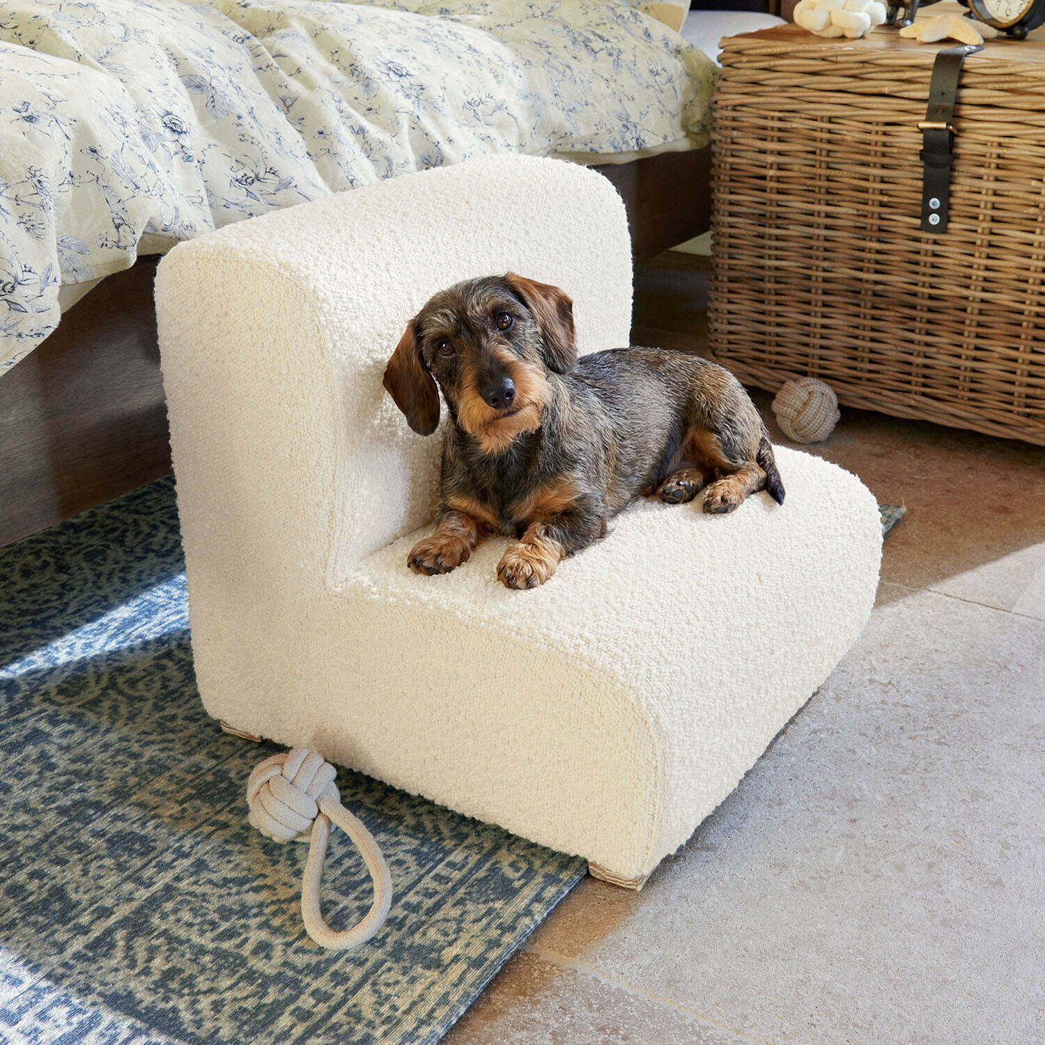 Kleiner Dackel liegt auf cremefarbenem Sessel aus weichem Stoff in gemütlichem Zimmer mit Teppich