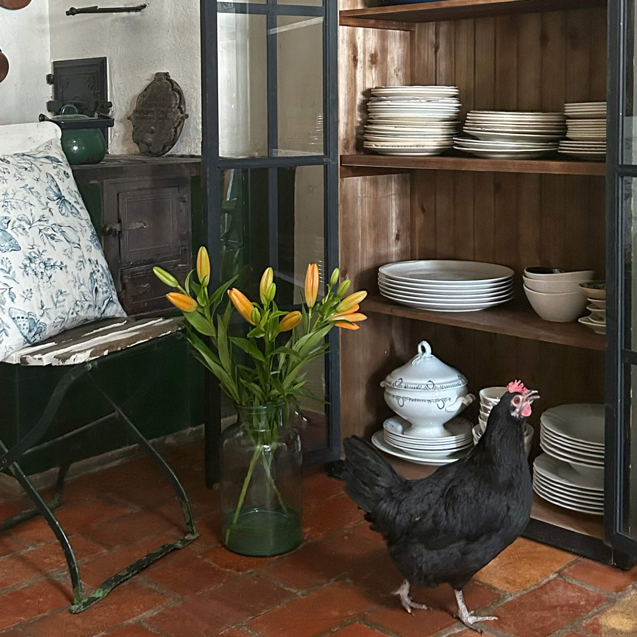 Schwarzes Huhn vor Holzvitrine mit weissem Porzellan und orangen Lilien in Glasvase auf rotem Boden