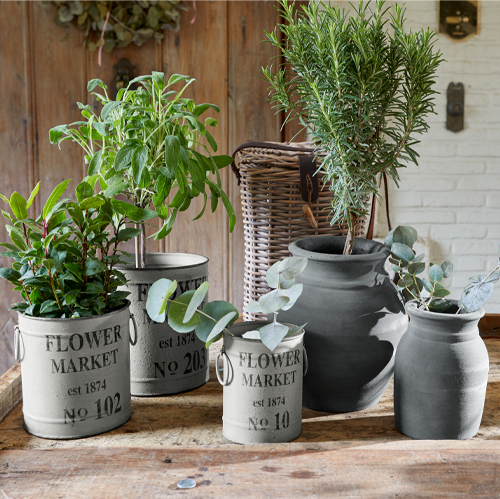Set aus grauen und schwarzen Blumentöpfen mit dem Schriftzug „Flower Market“ und grünen Pflanzen auf einem Holztisch