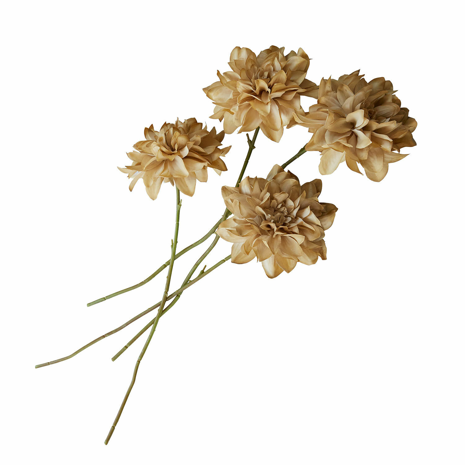 Deko-Blume 4er Set Cappellina Dekorative künstliche Blumen in Beige mit grünen Stielen für eine stilvolle Wohnraumgestaltung