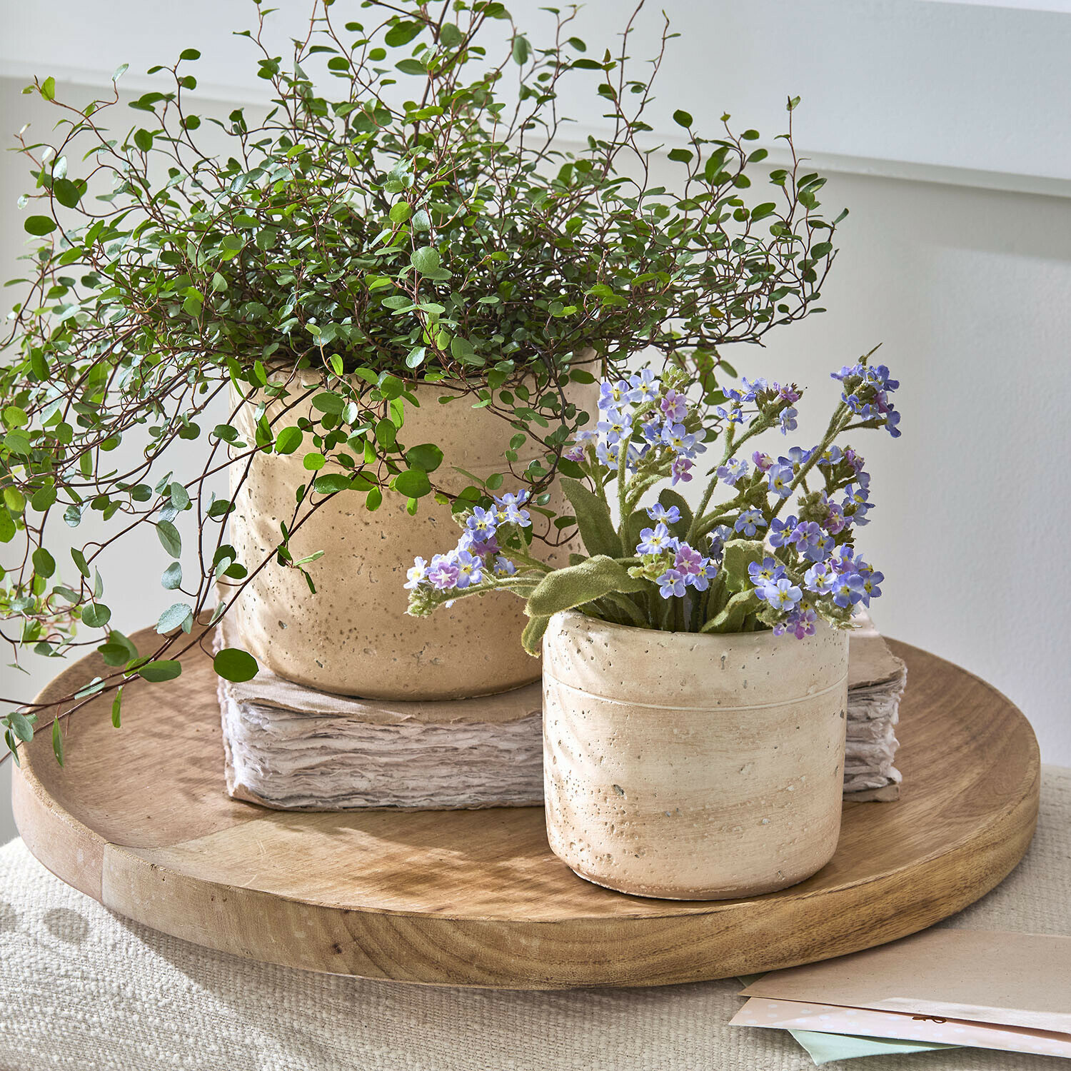 Übertopf 2er Set Maybelles Zwei beige Keramikblumentöpfe mit grünen und violetten Blumen auf einem dekorativen Holztablett