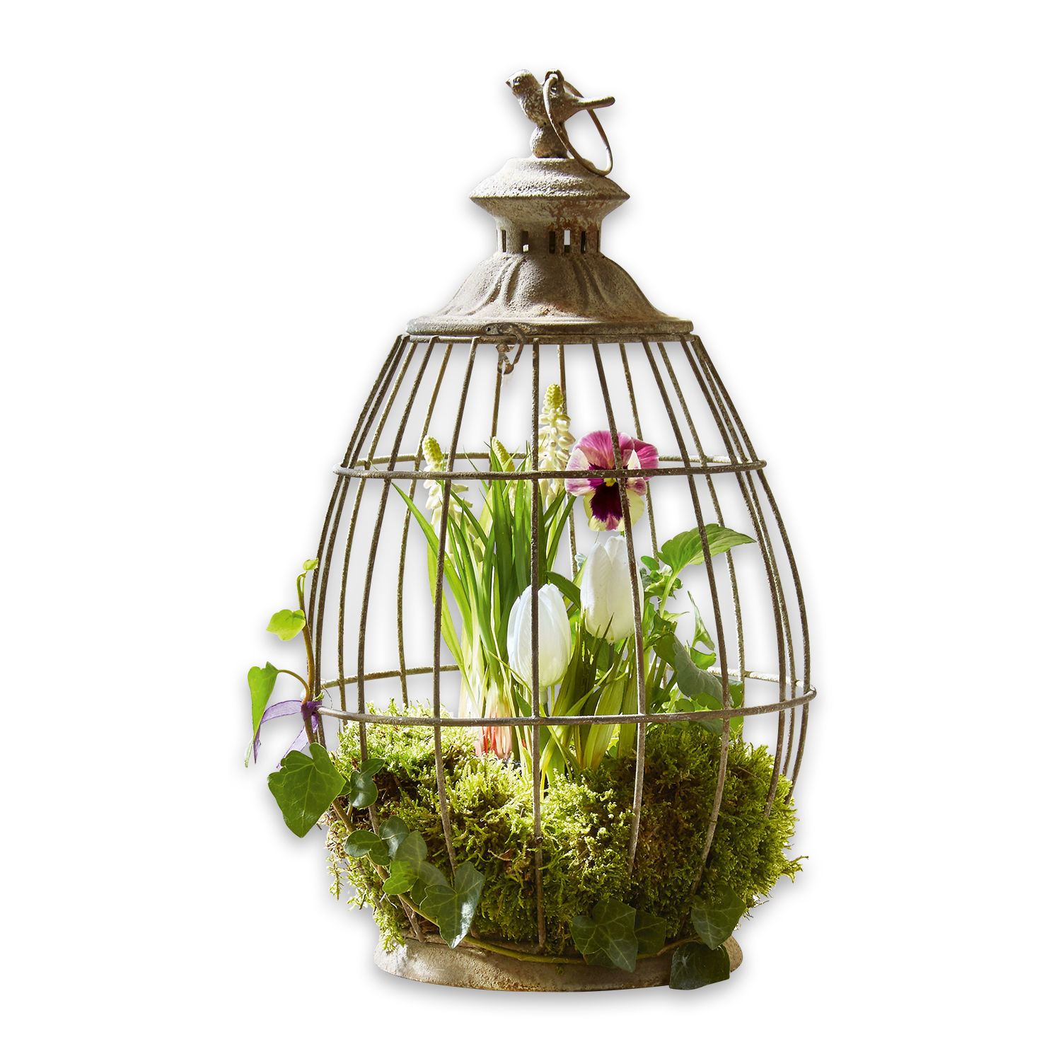 Laterne Morena Dekorativer Metallkäfig mit Vogel, grünem Moos und Blumen im Innern, Wohnaccessoire