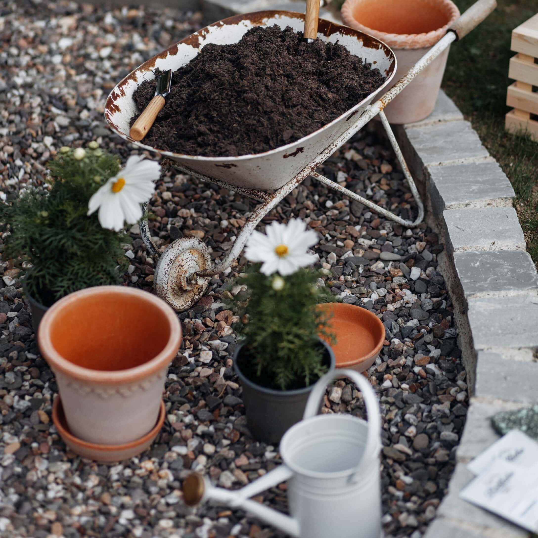 Alte weisse Schubkarre mit Erde auf Kiesboden neben Blumentöpfen und Giesskanne im Garten