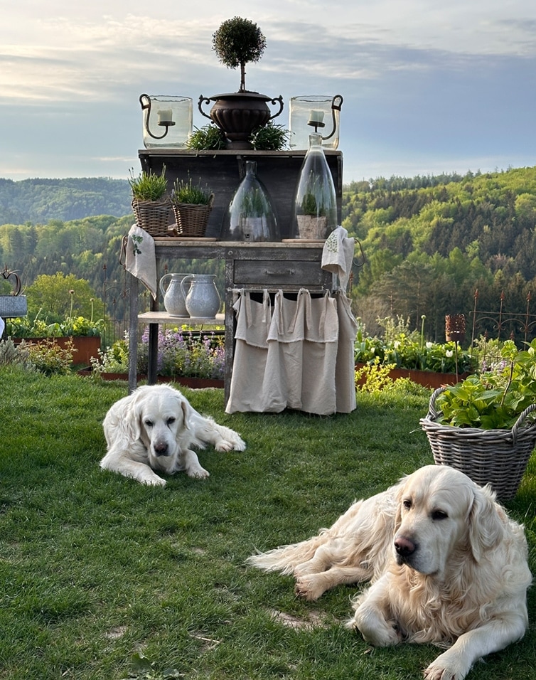 Sommergarten mit rustikalem Holztisch, Pflanzen und zwei liegenden weissen Hunden auf grünem Rasen