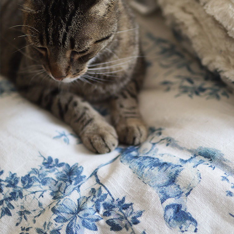 Grau getigerte Katze auf weissem Stoff mit blauem Blumenmuster, weiche Wohntextilie