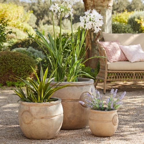 Drei beige Terrakotta-Töpfe mit grünen Pflanzen und weissen Blüten im Garten auf Kiesboden