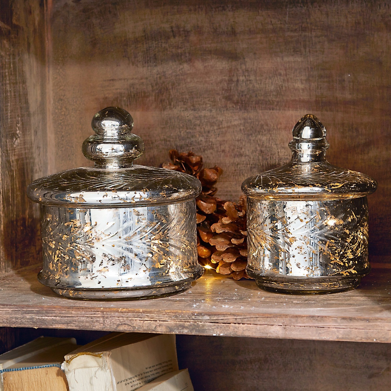 Glasdose 2er Set Elexa Zwei Glasbehälter mit Deckeln und goldenen Verzierungen auf einem Holzregal mit Kiefernzapfen