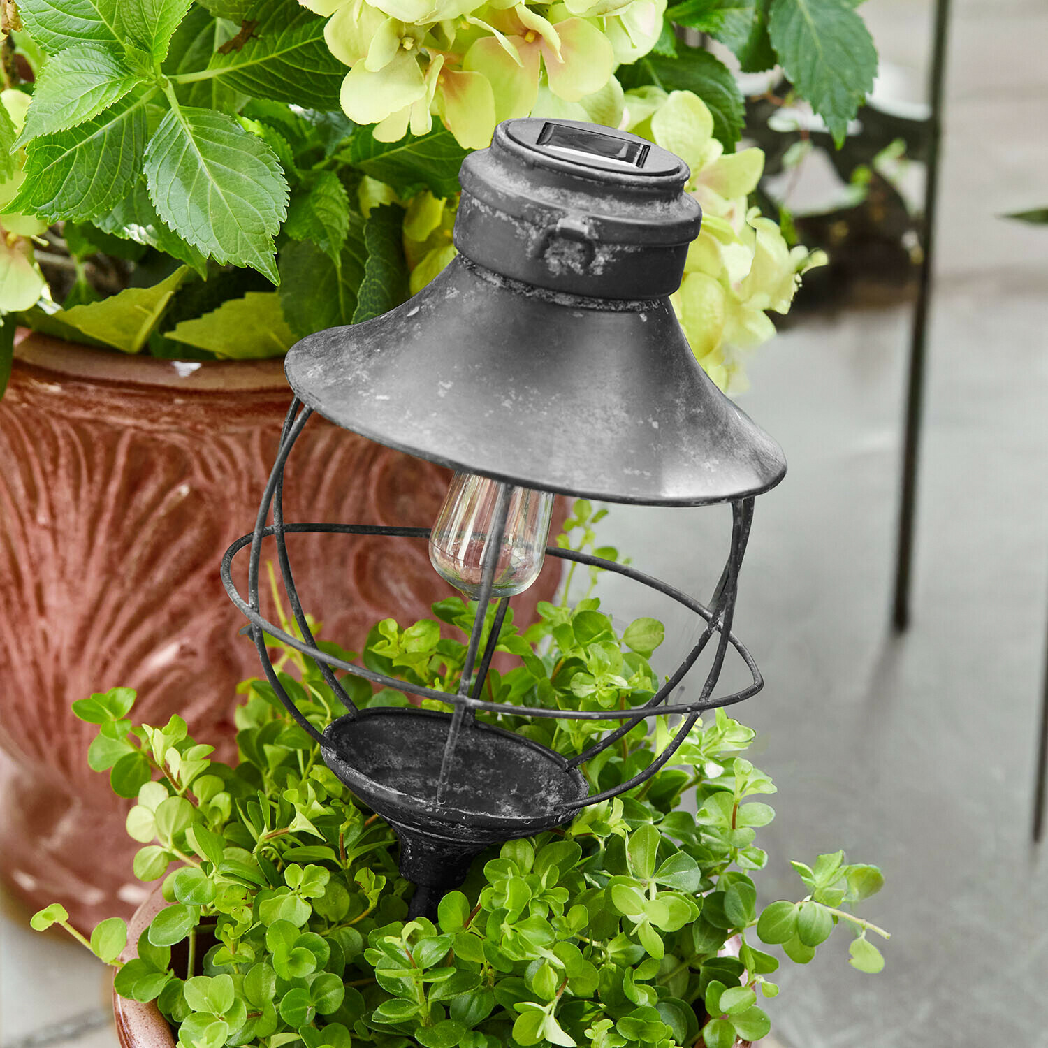 Solar-Laterne Trelonne Schwarze Metall-Gartenlampe mit Schirm und Glühbirne, in einem Topf mit grünen Pflanzen platziert