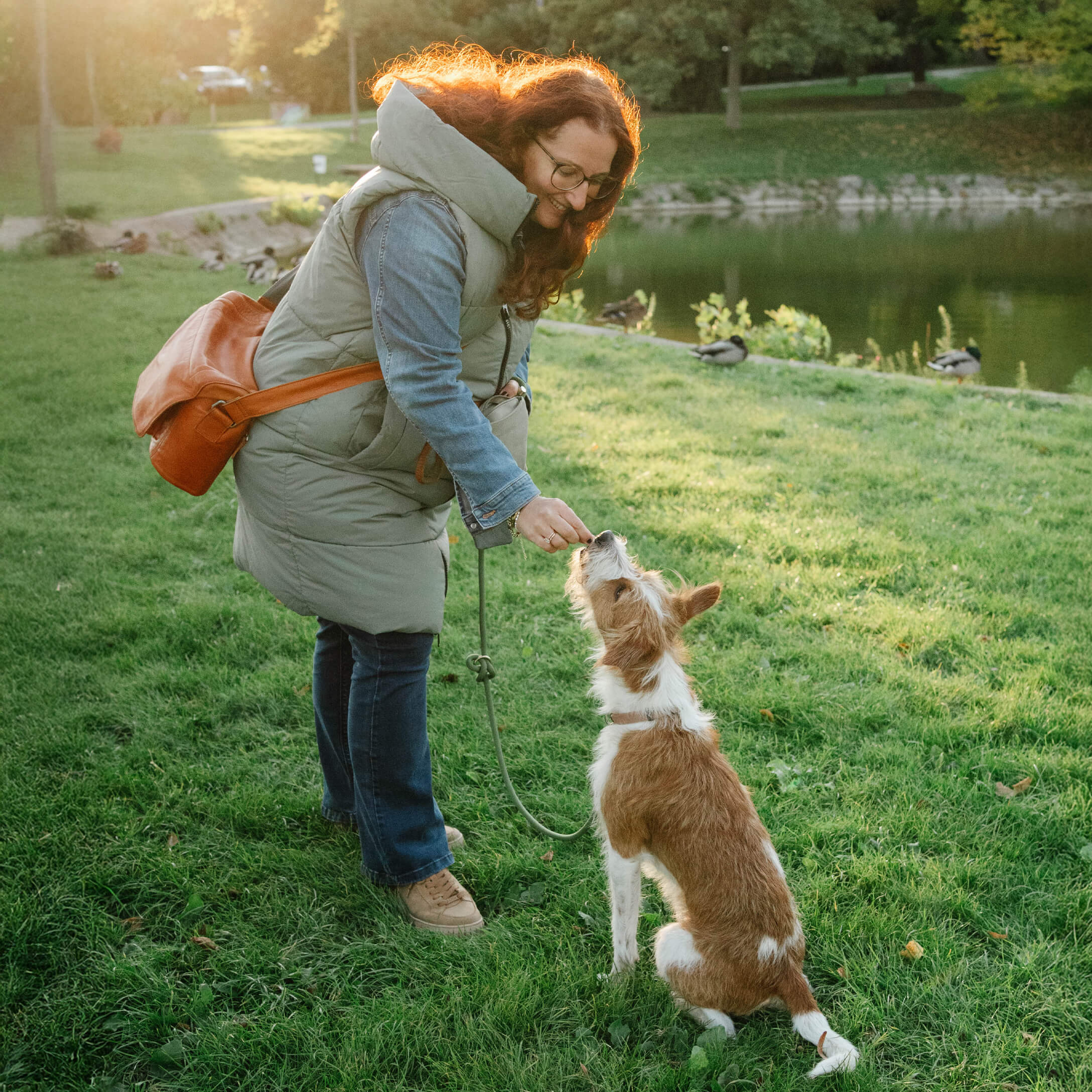 Frau mit grüner Weste und blauer Jeans füttert Hund auf grünem Gras im Park bei Sonnenlicht