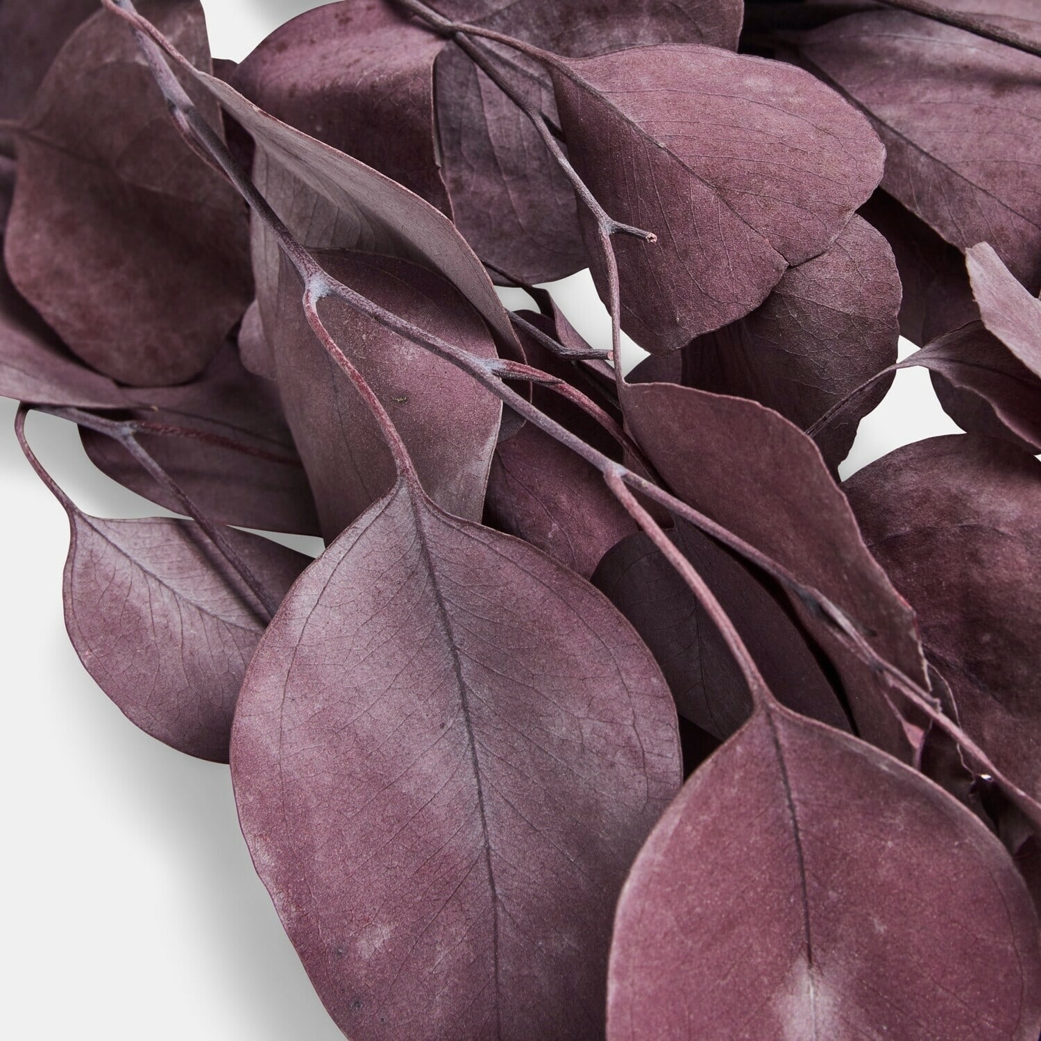 Kunstblume Eukalyptus Ianthee