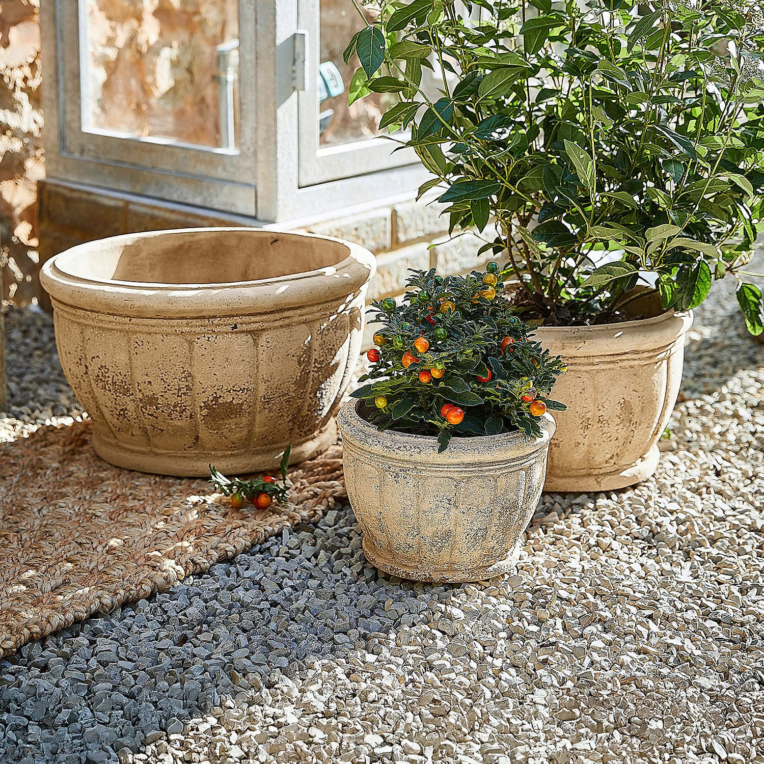 Übertopf 3er Set Jalexin Drei beige Terrakotta-Blumentöpfe auf Kies, zwei davon mit dekorativen Pflanzen und bunten Früchten.