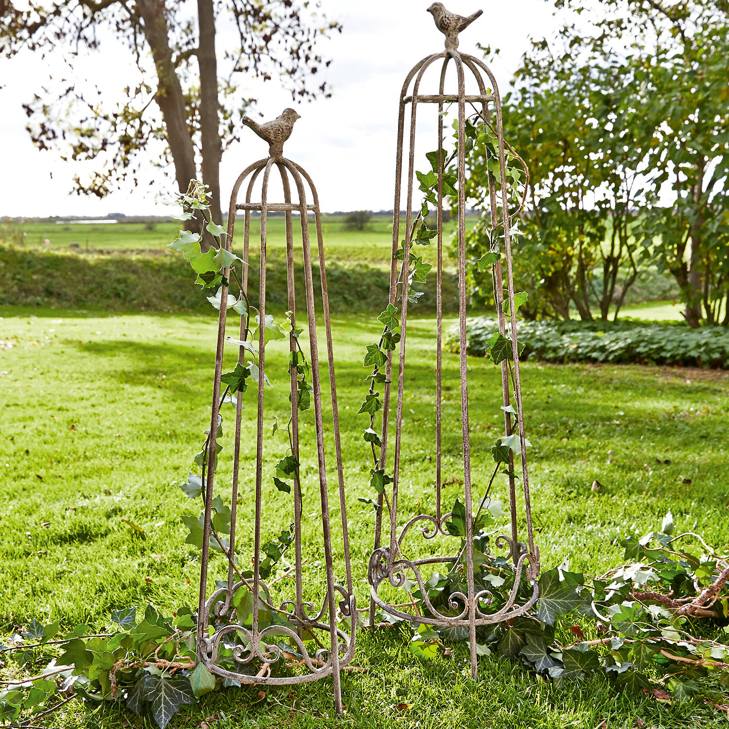 Rankhilfe 2er Set Orianne Dekorative Metall-Gartenobelisken mit Vogelmotiv in Rostoptik zur Unterstützung von Kletterpflanzen