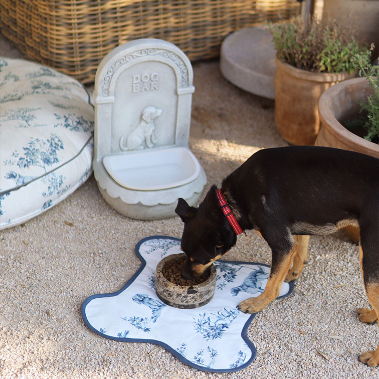 Schwarzer Hund mit rotem Halsband frisst aus steinerner Futterschale auf weisser Matte mit blauem Muster